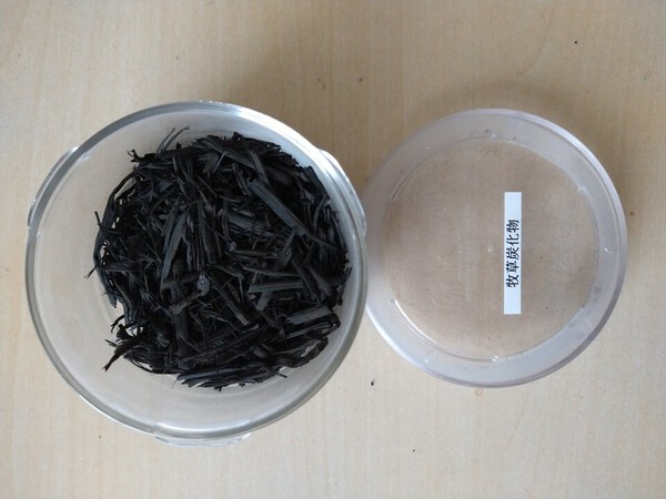 牧草炭化物