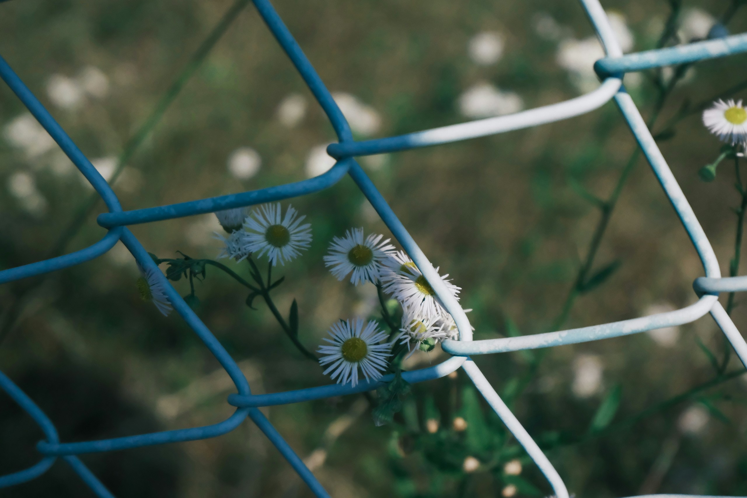 2026-07-find-new-pieces-fujifilm-image-30