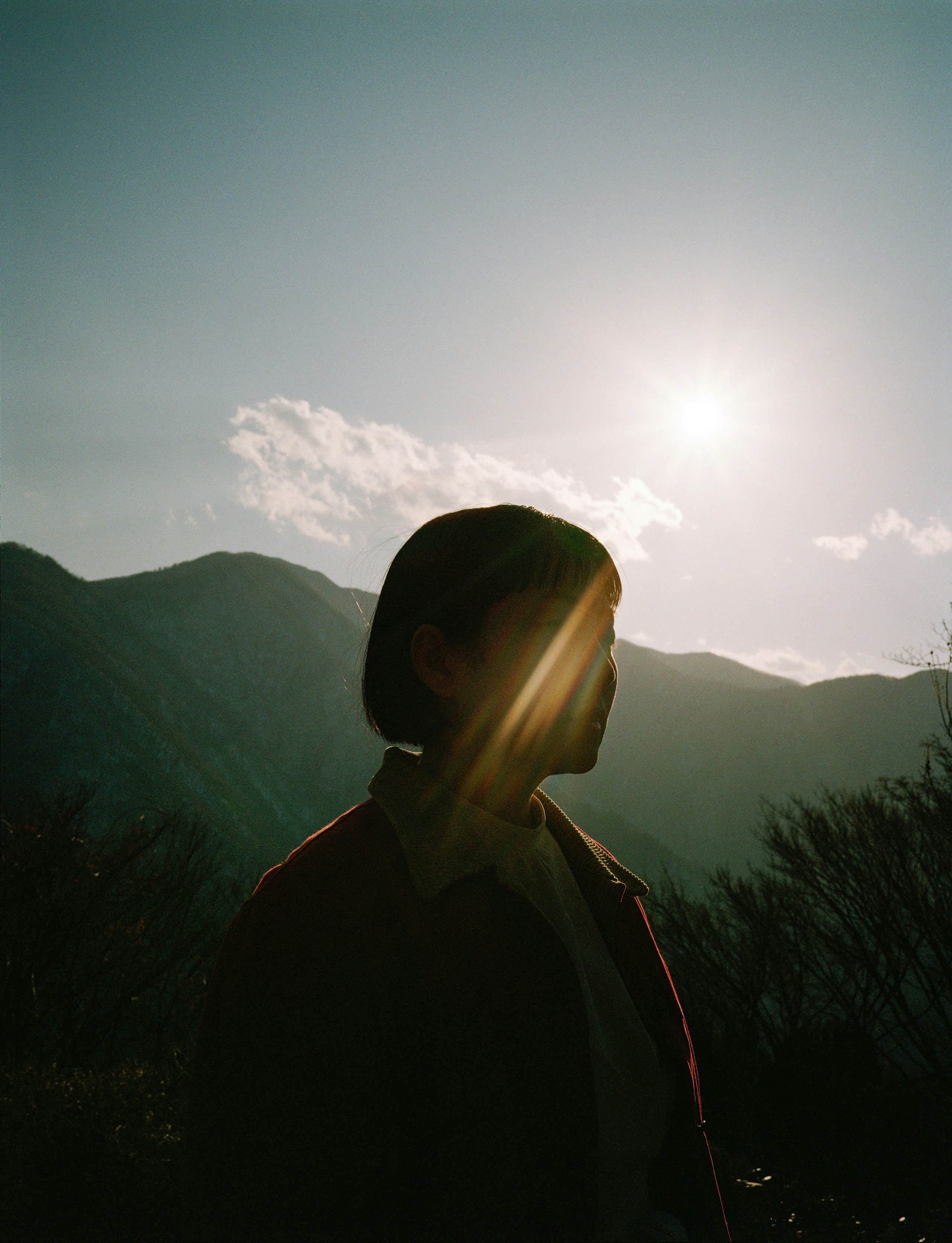 2026-03-light-as-language-photography-image-2