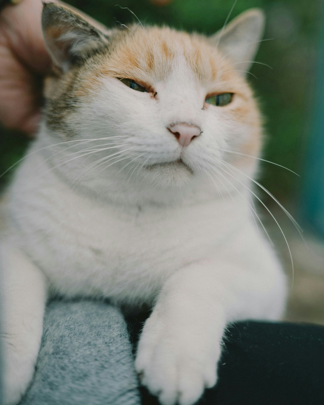 Photo by ボブミヤン