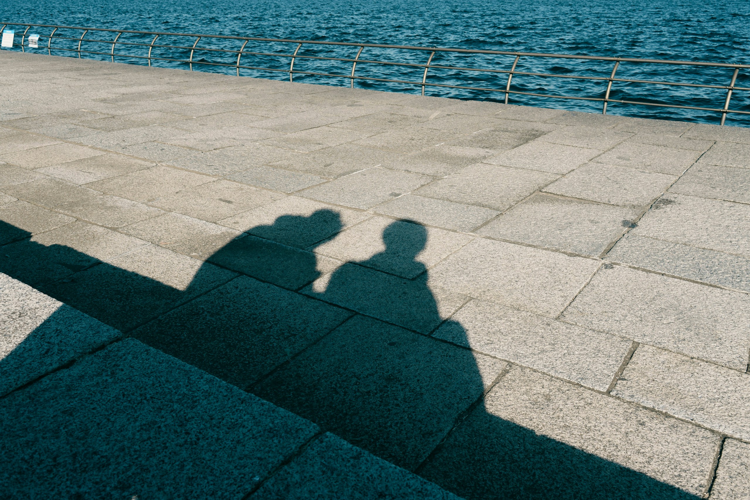 2026-01-shadow-image-6