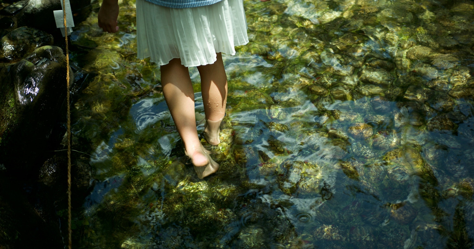 2024-09-summer-echo-award-cover-image