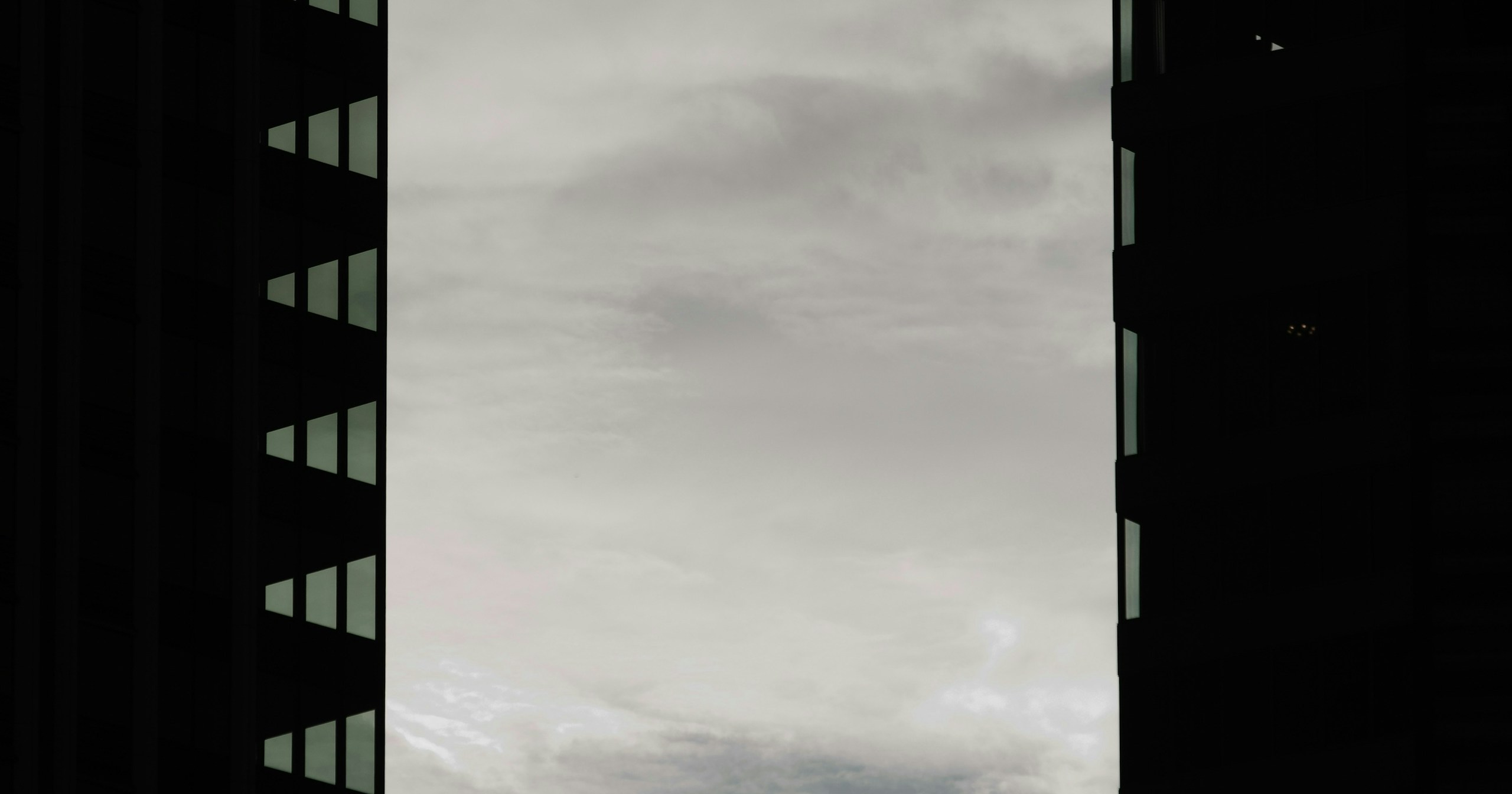 Secrets to Capturing Stunning Photos on Overcast Days | Knowledge #177