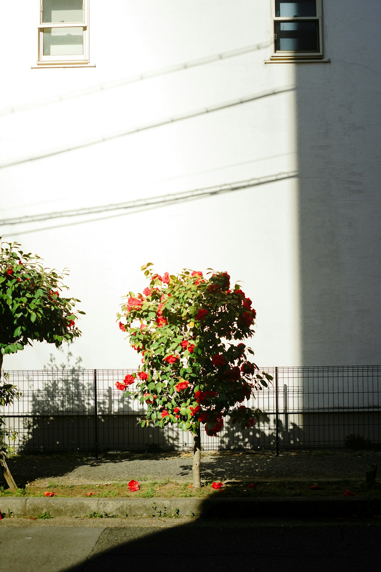 Photo by 綾