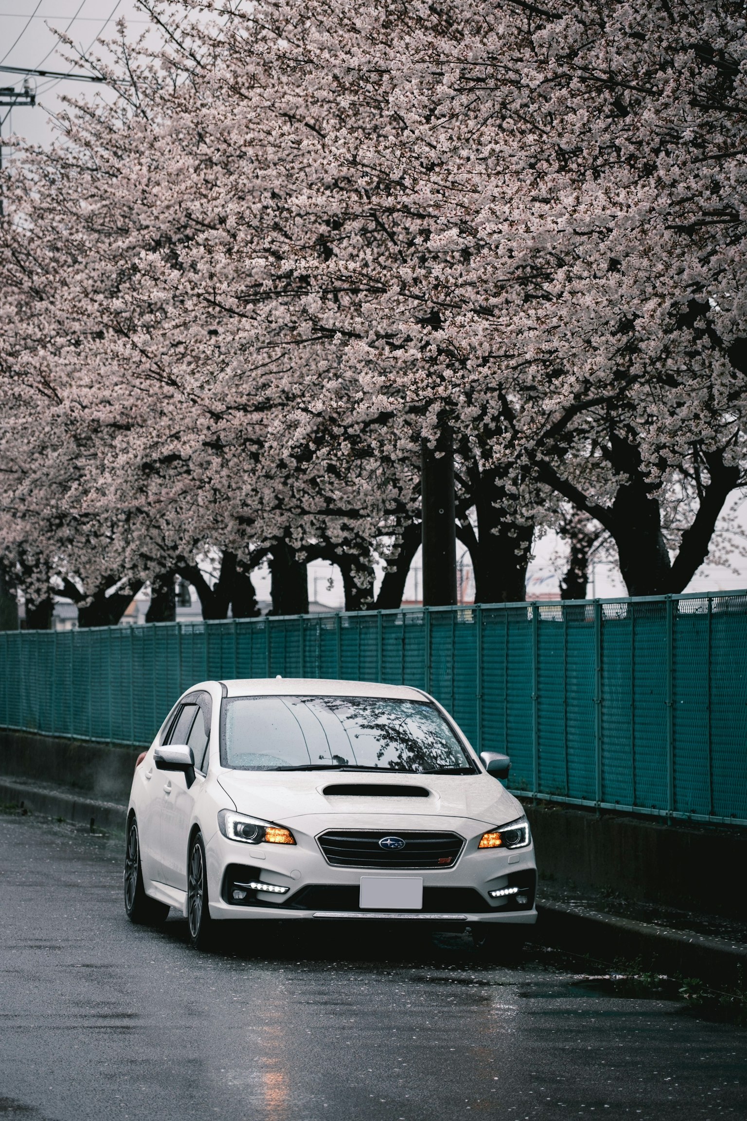 2024-05-car-view-image-17