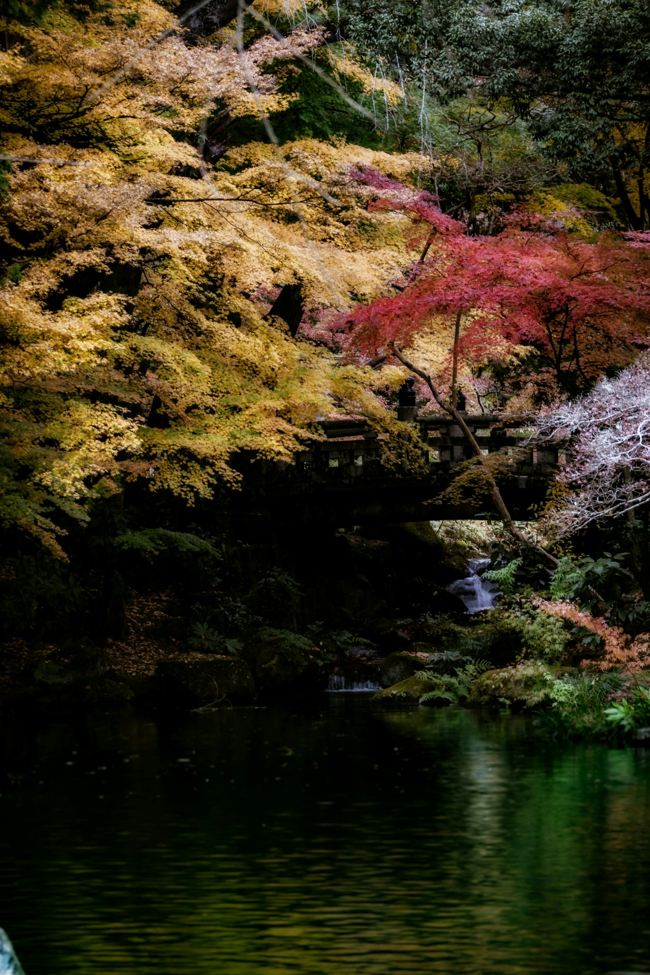 Image by ZAMA