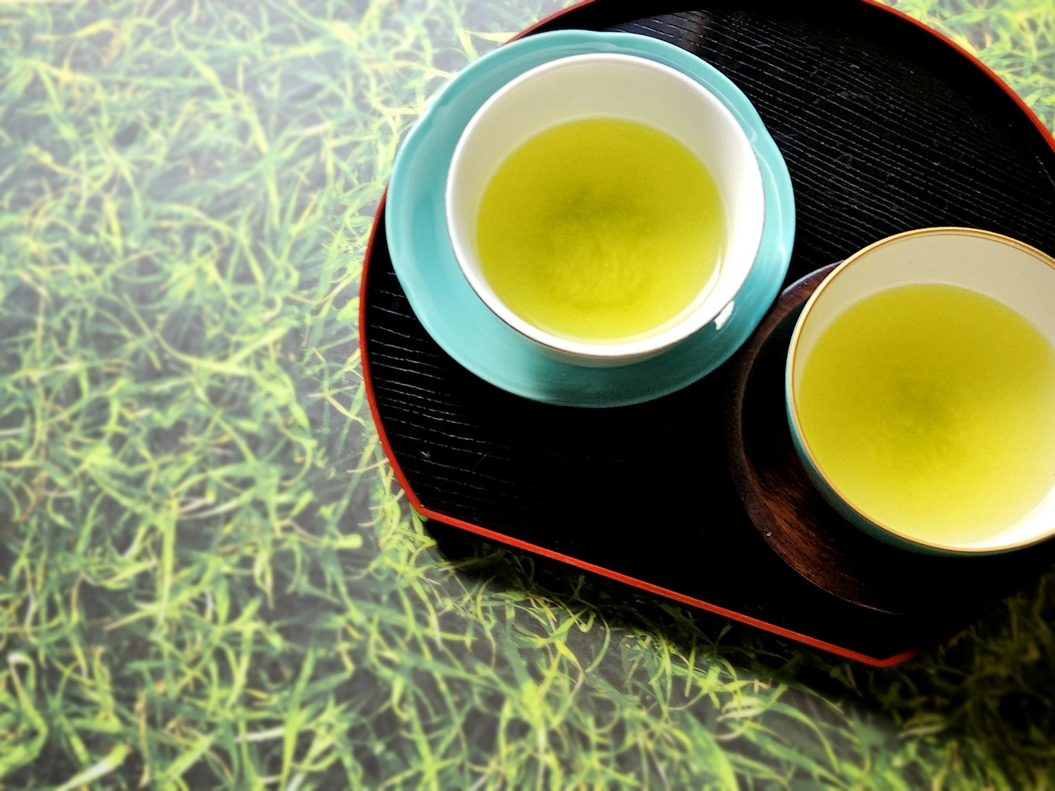 2024-05-focus-on-color-green-image-5