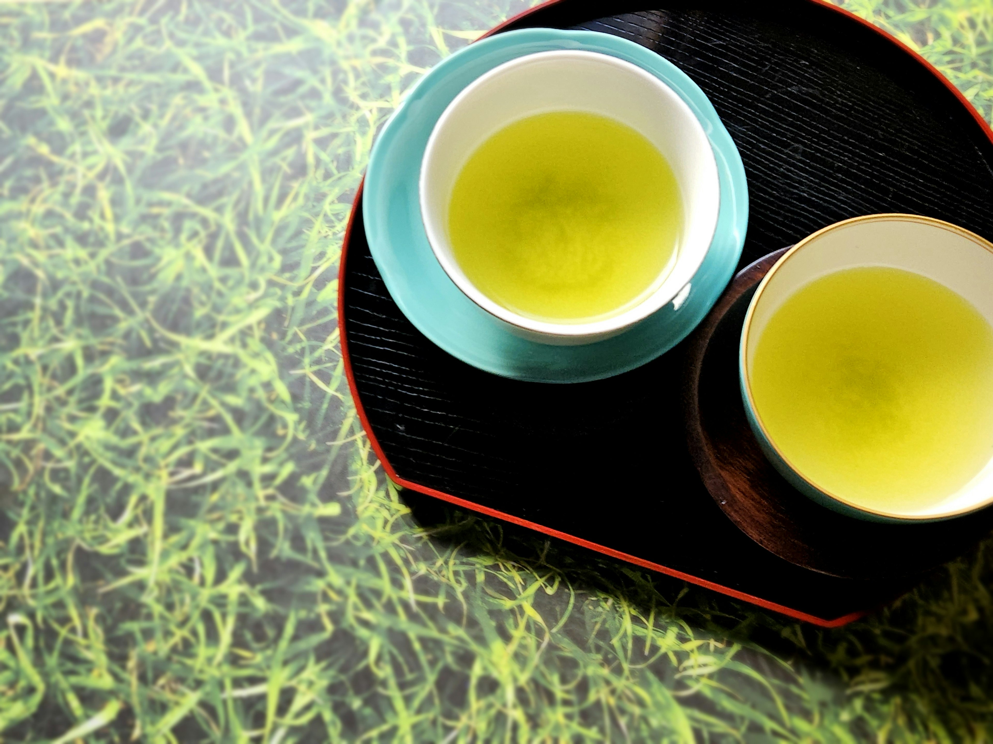 2024-05-focus-on-color-green-image-5