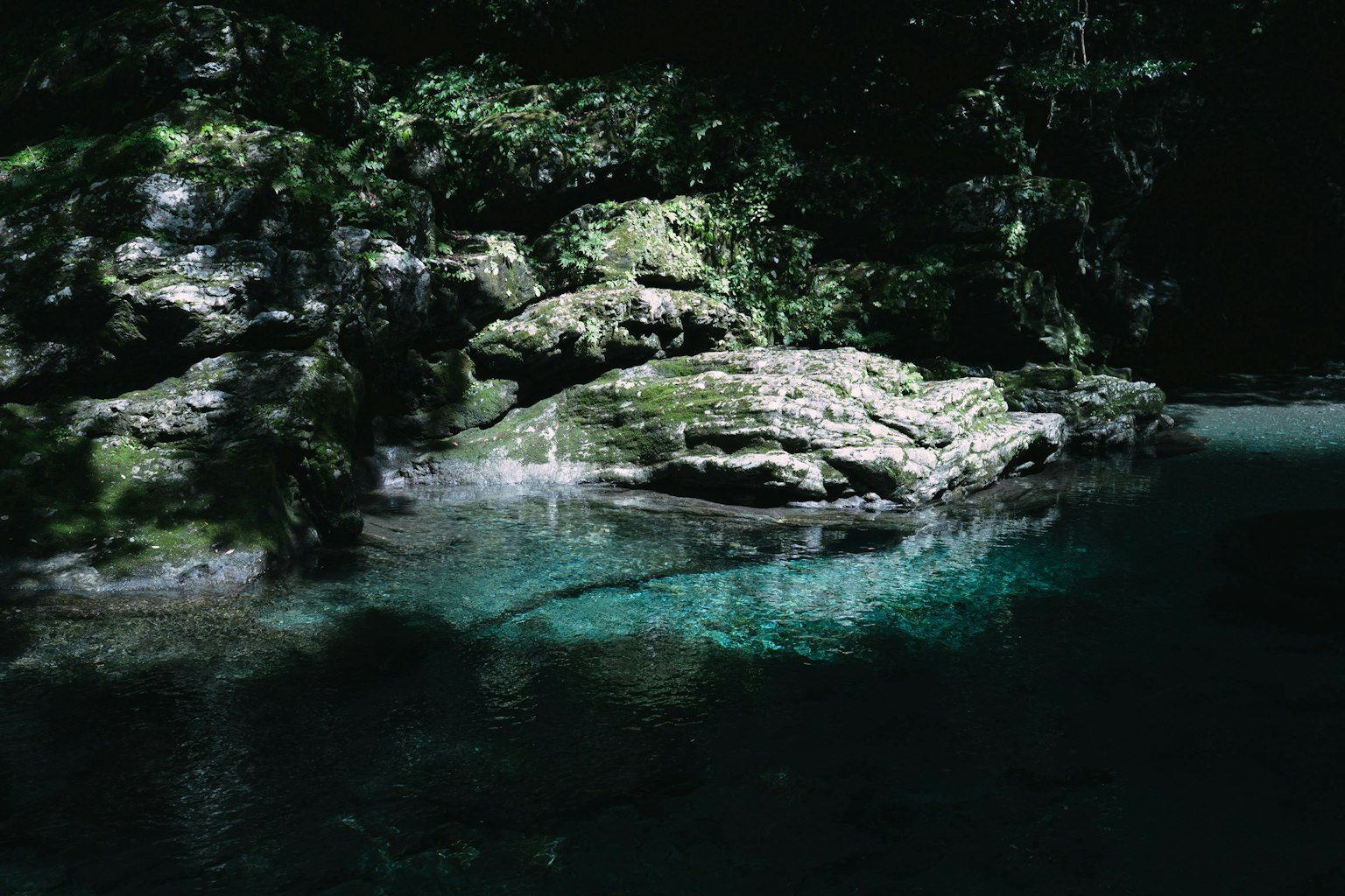 2025-03-pick-up-photos-no-74-78-image-9