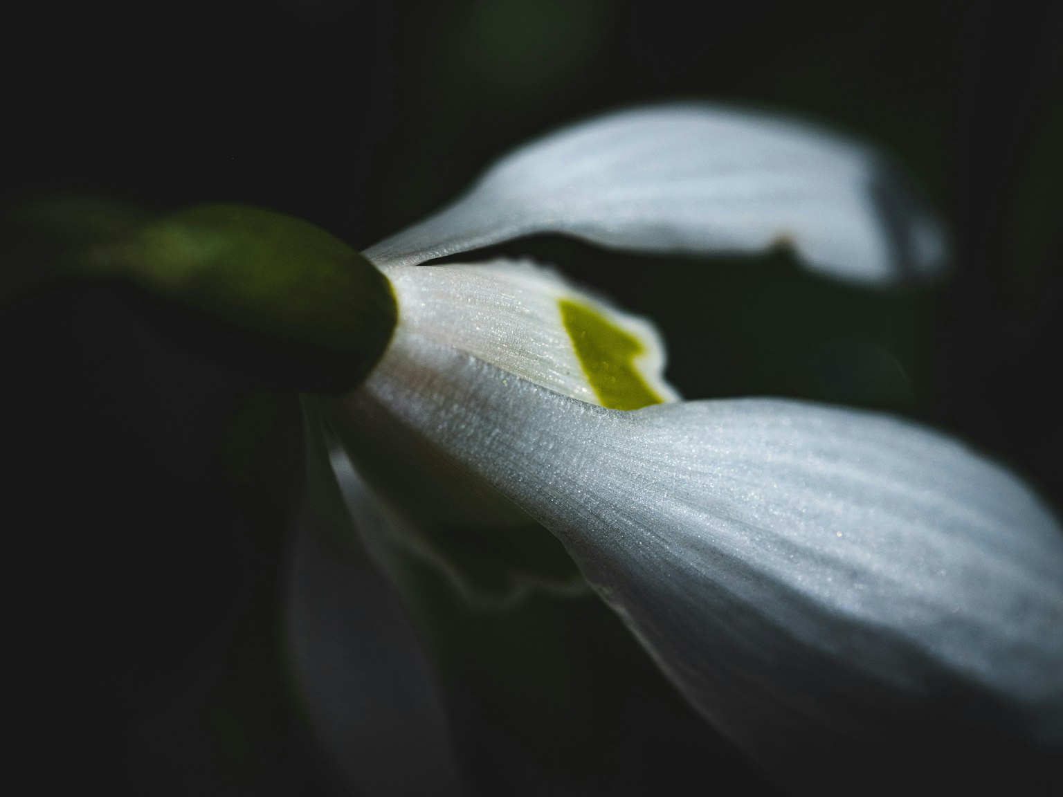 2025-04-photo-contest-pr-1-image-4