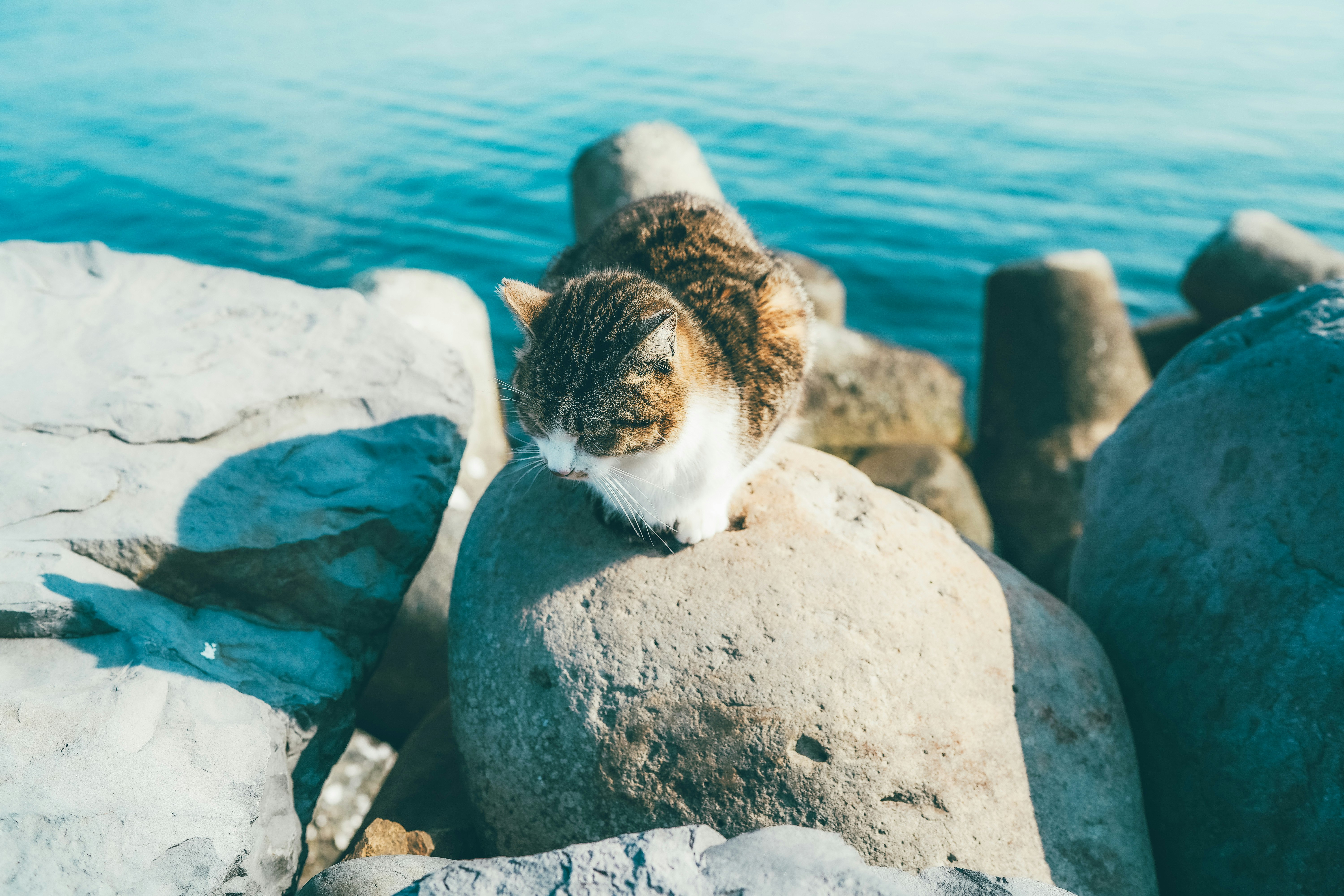 2026-03-ppp-in-fukuoka-cover-image