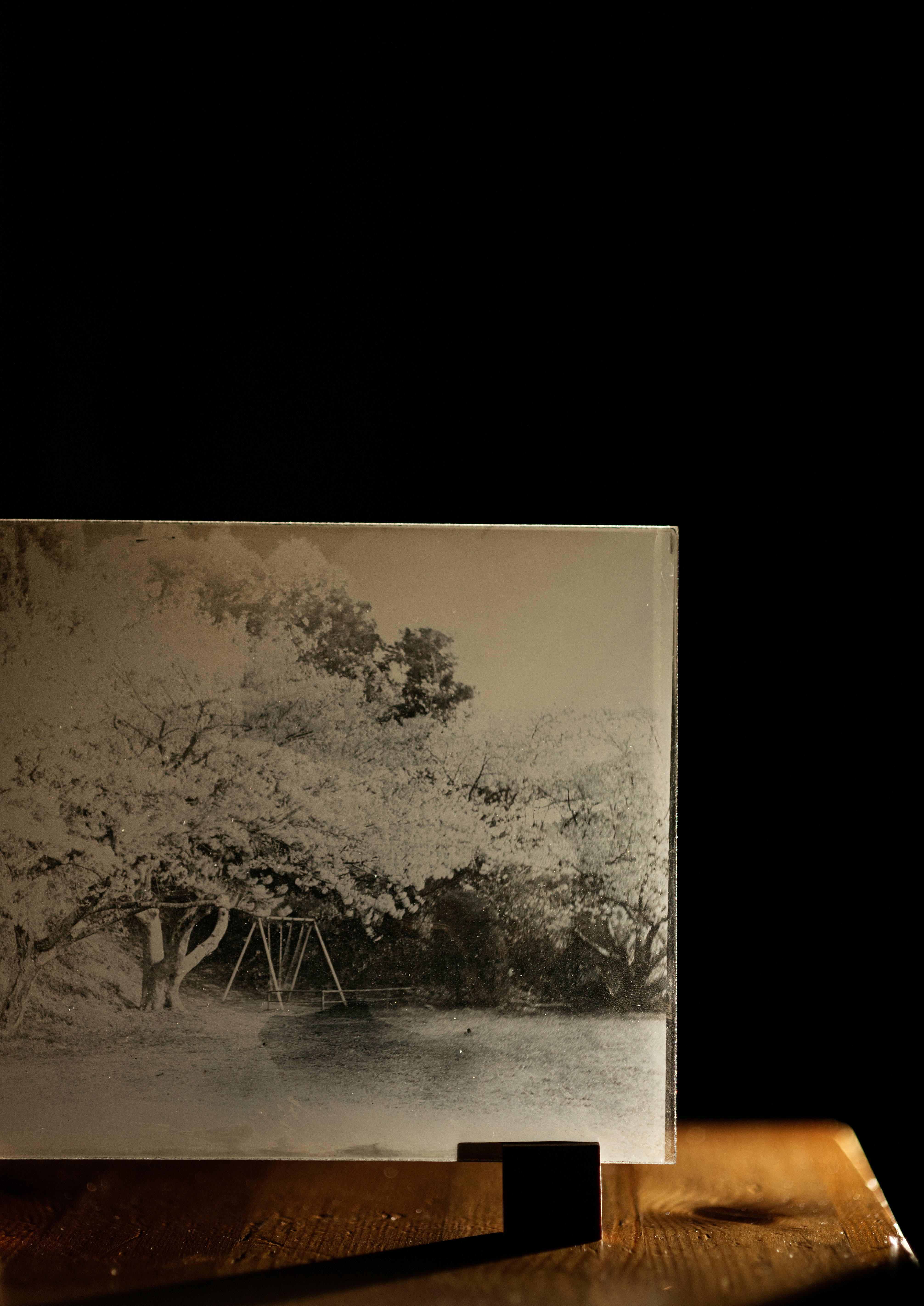 2026-04-100-years-old-photographic-technique-image-7