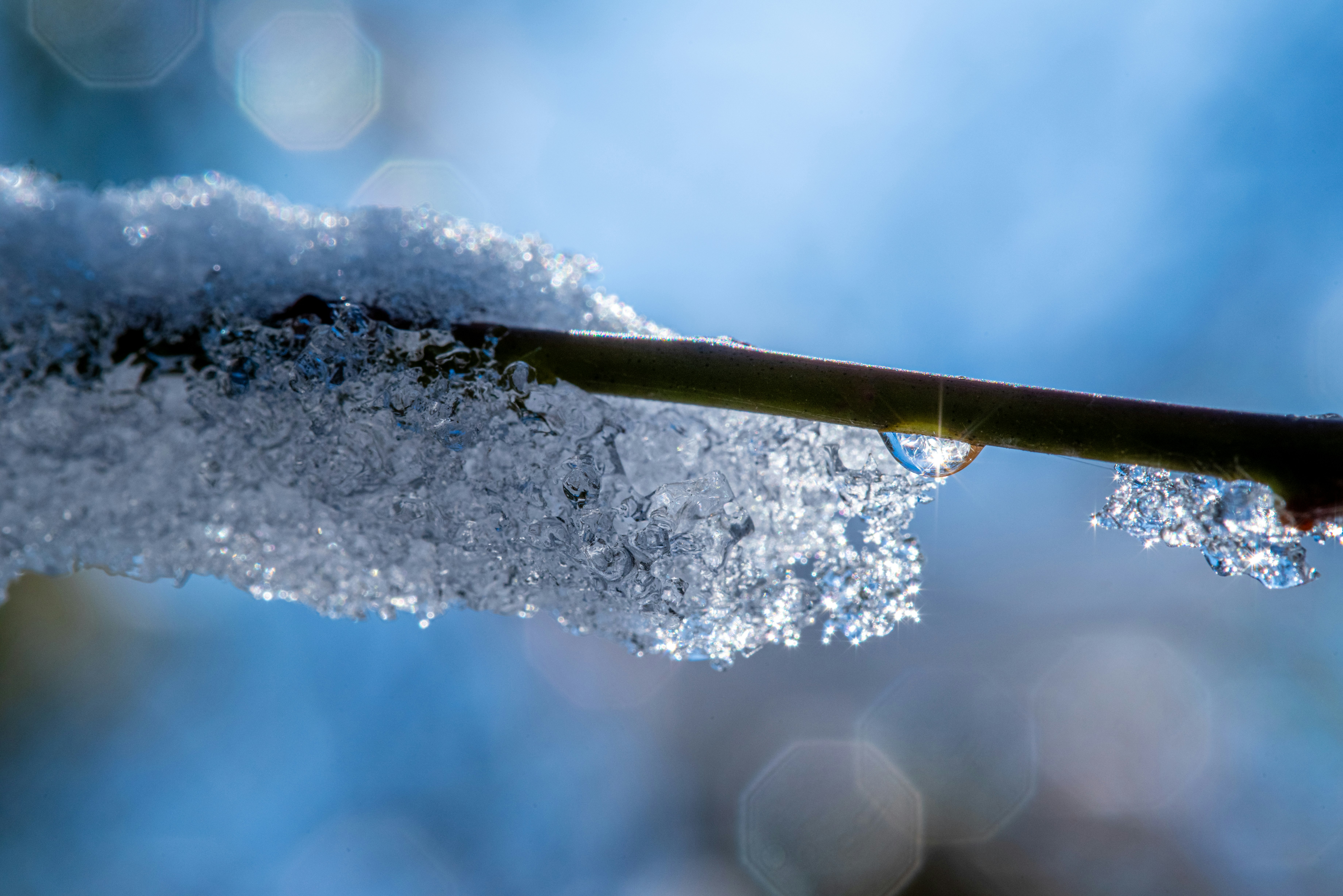 2026-03-zoom-cover-image