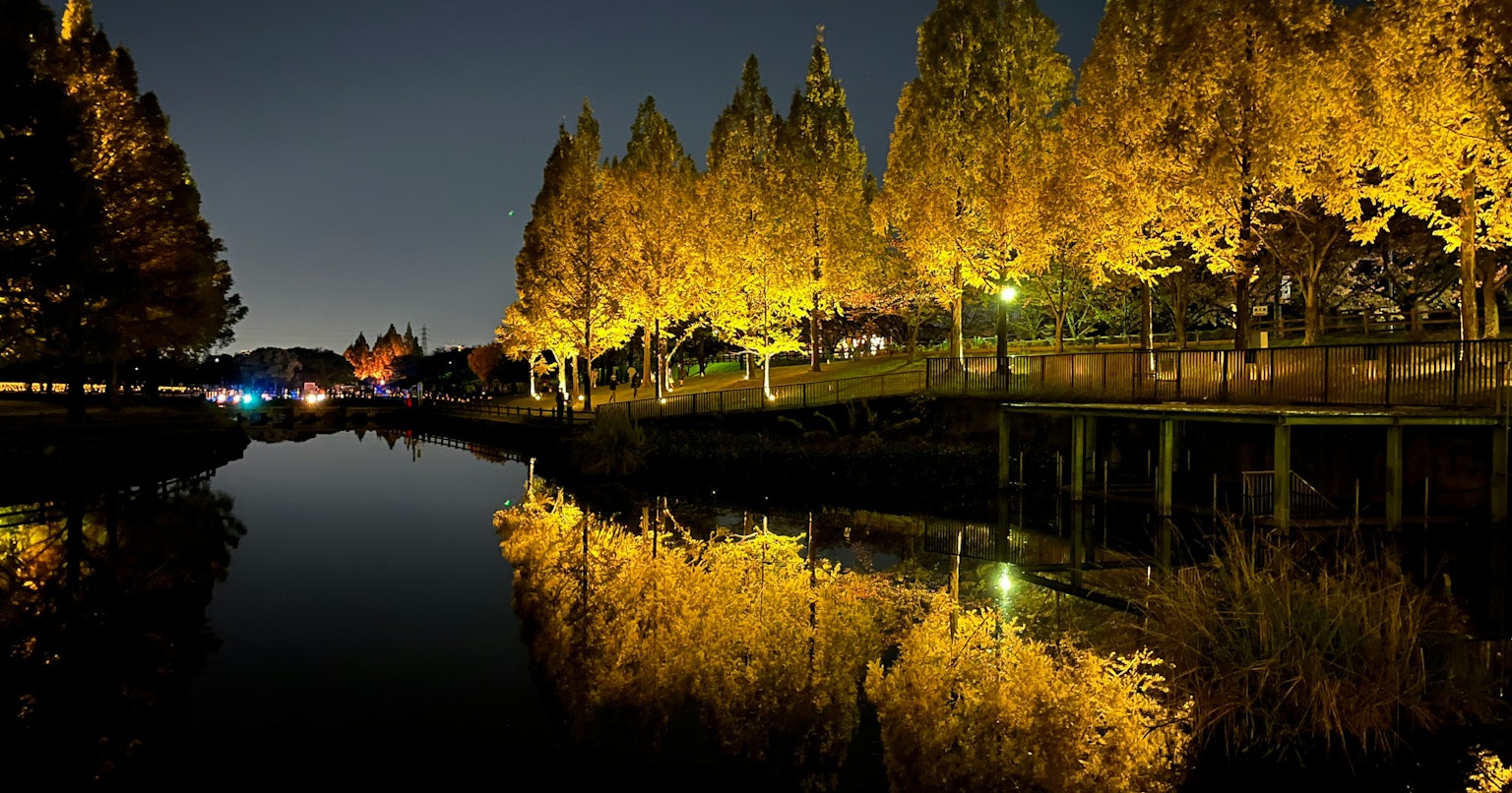 2025-03-reflection-report-cover-image