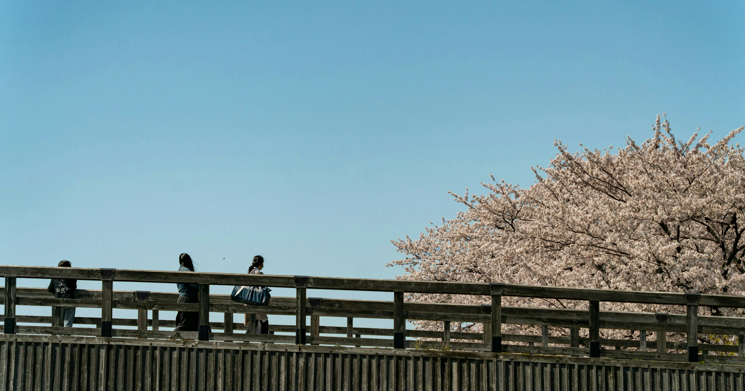 #Kanazawa | Luoghi fotografici da visitare almeno una volta | Focus #413