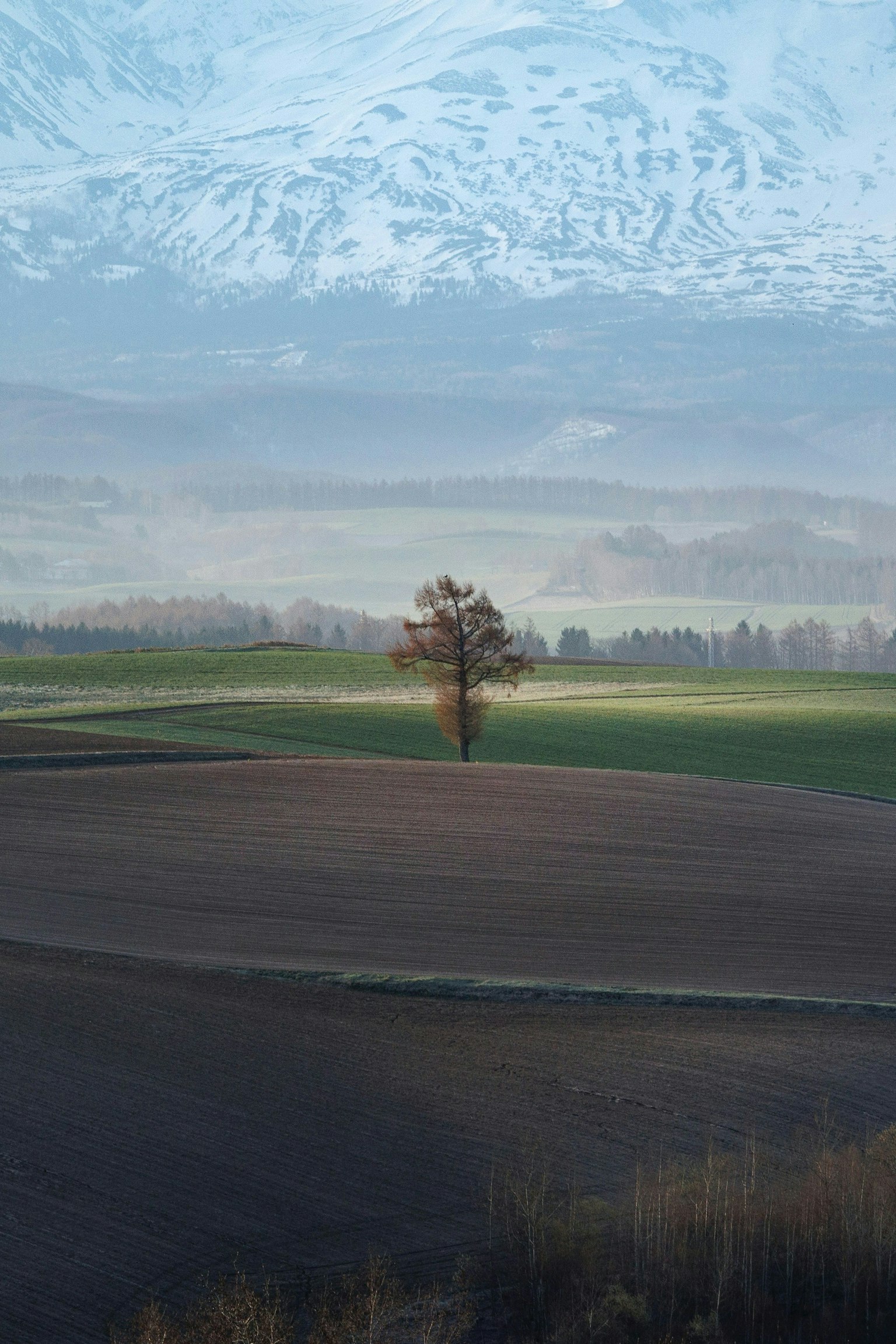 2024-08-full-frame-vs-aps-c-sensor-comparison-image-13