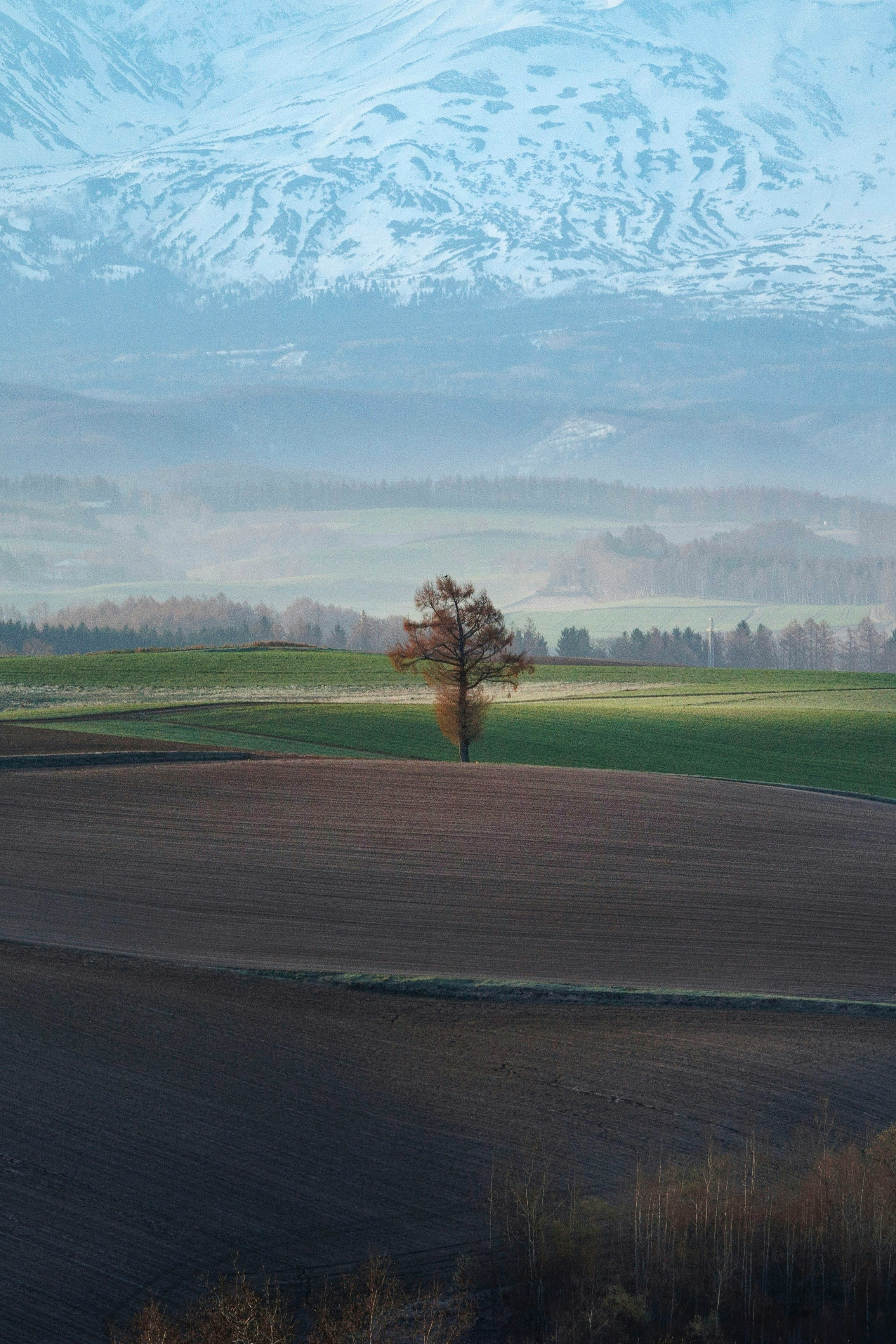 Image by masa
