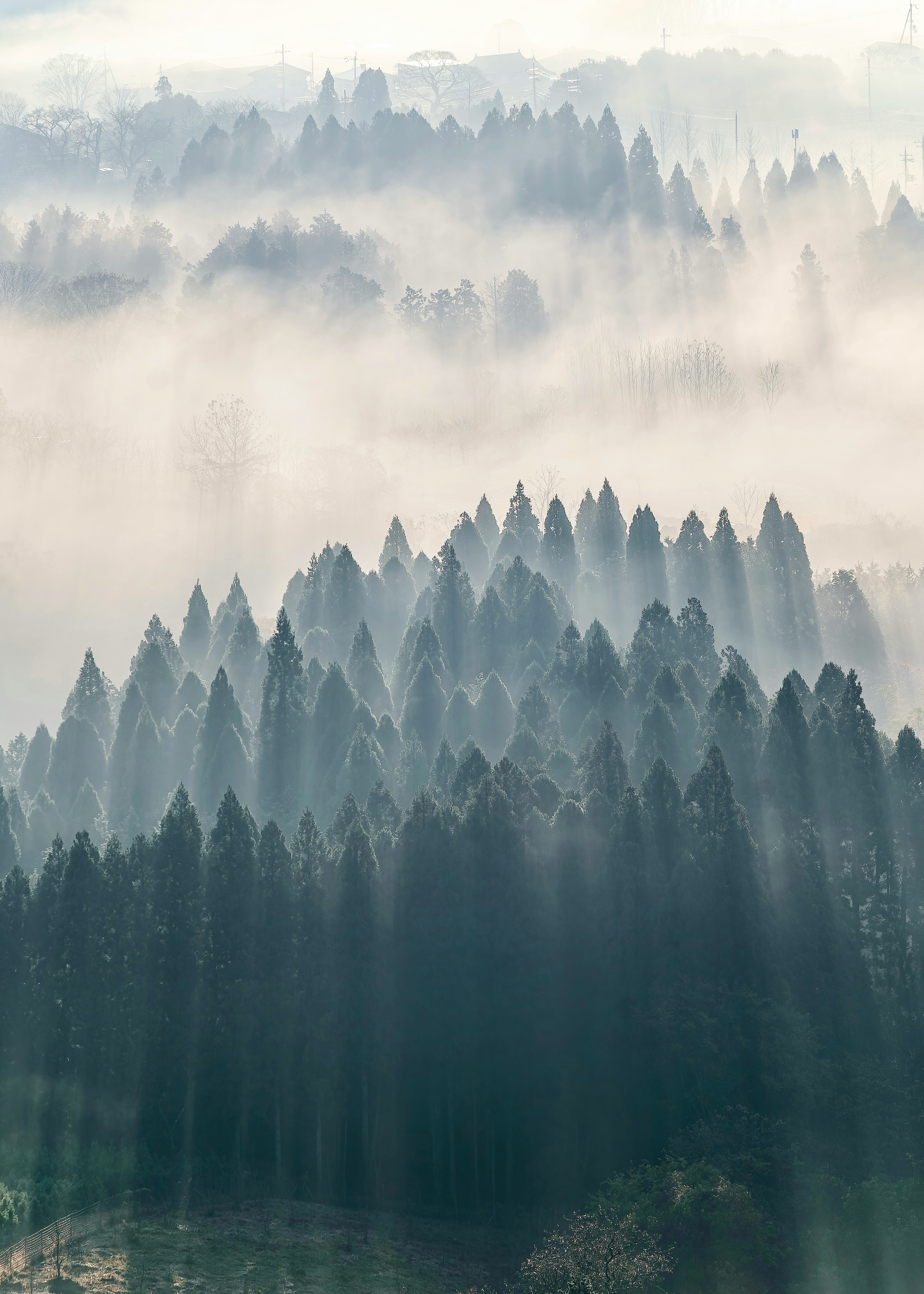 2026-02-shadows-of-light-award-image-6