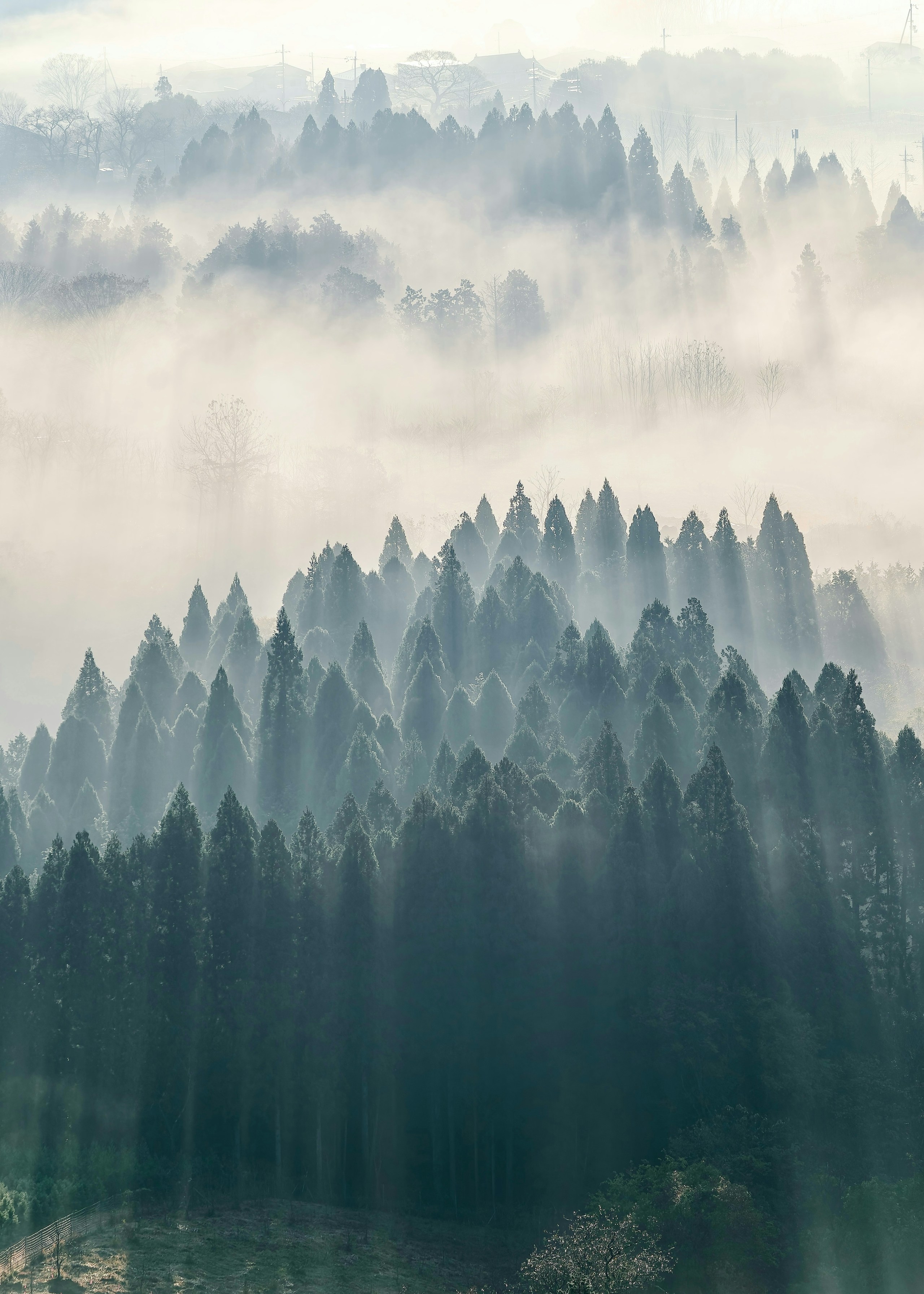 2026-02-shadows-of-light-award-image-6
