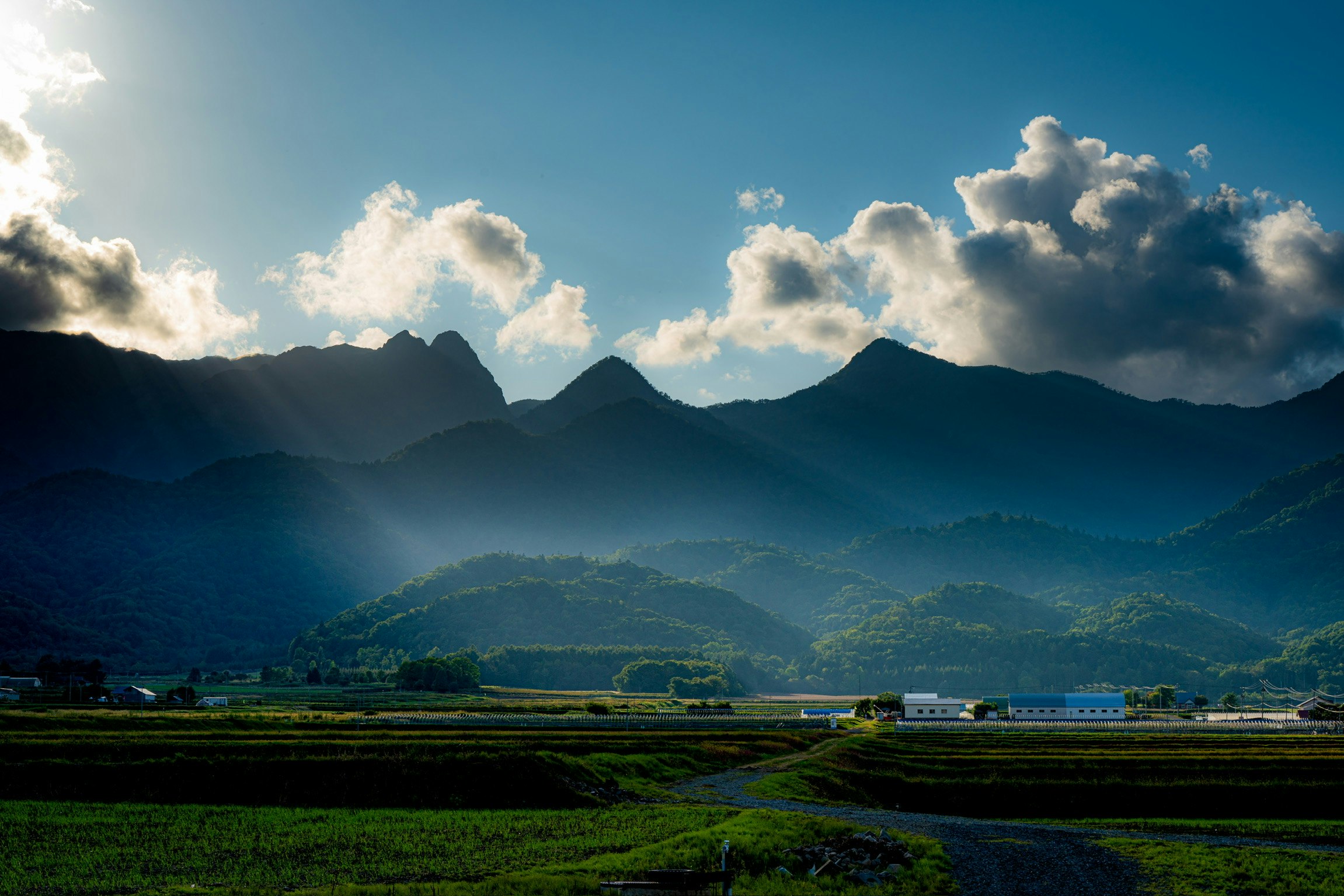 2024-05-sunlight-stories-award-image-6