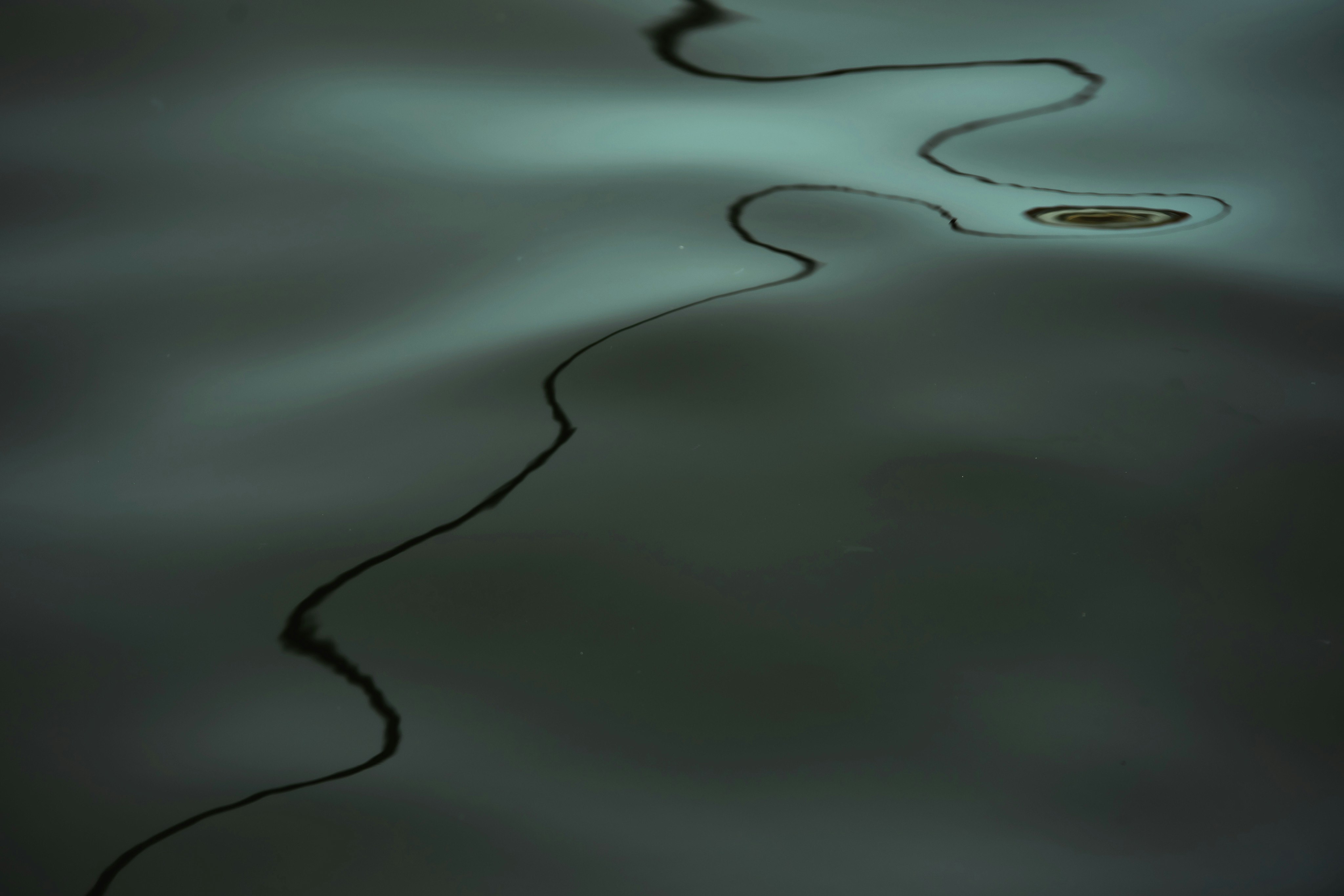 2025-10-intentional-water-award-image-8