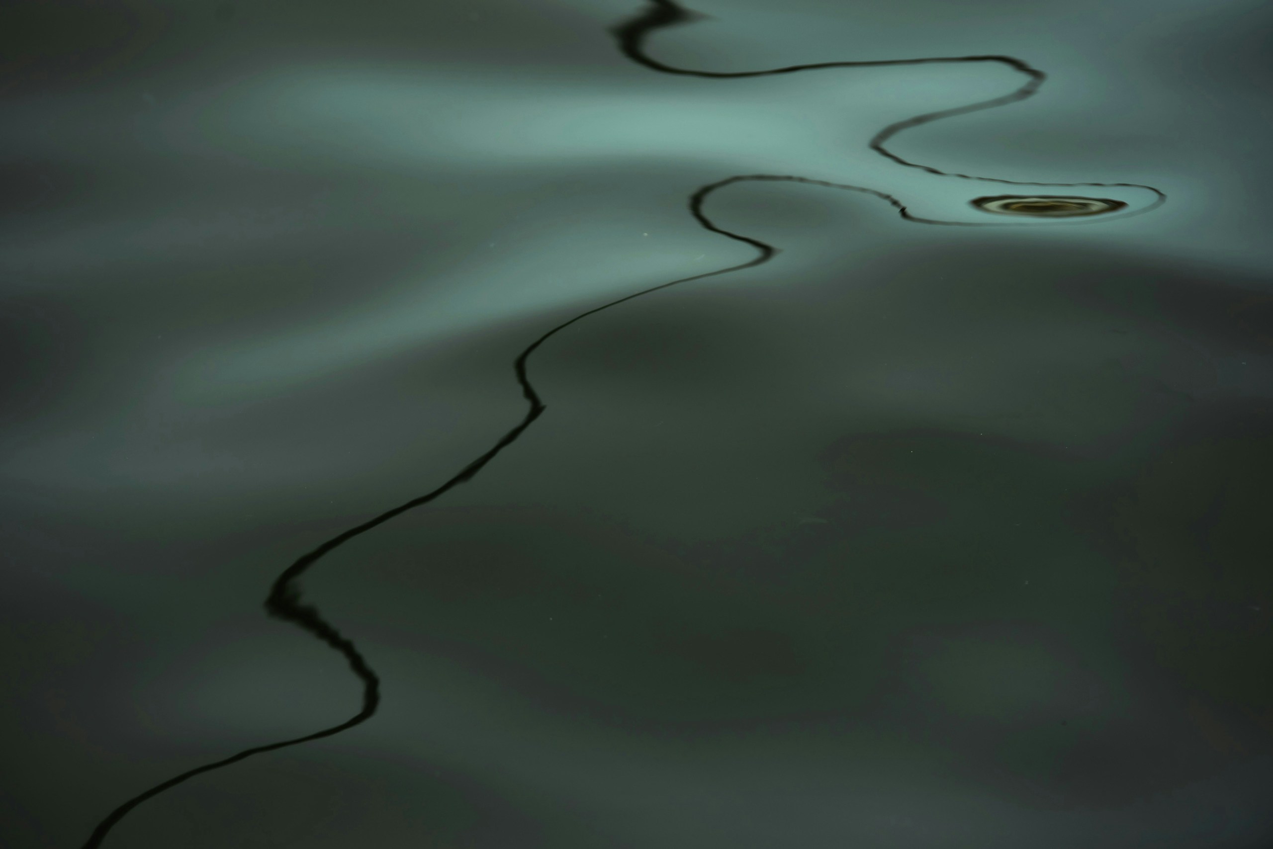 2025-10-intentional-water-award-image-8