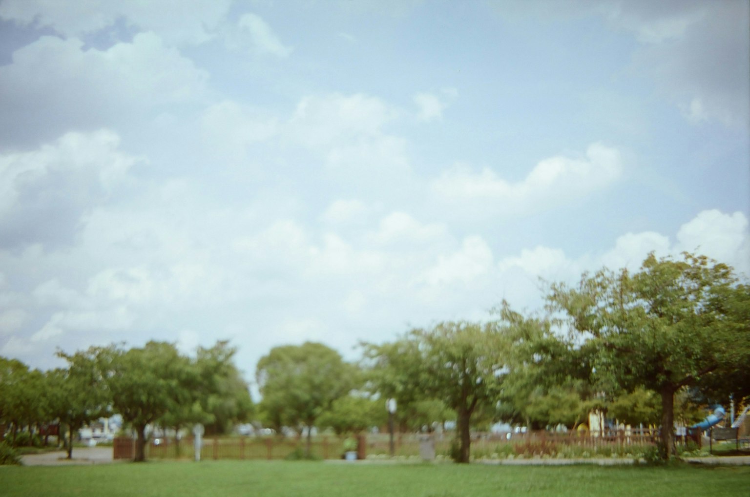 2025-07-aoi-photograph-by-seiko-matsuda-image-4