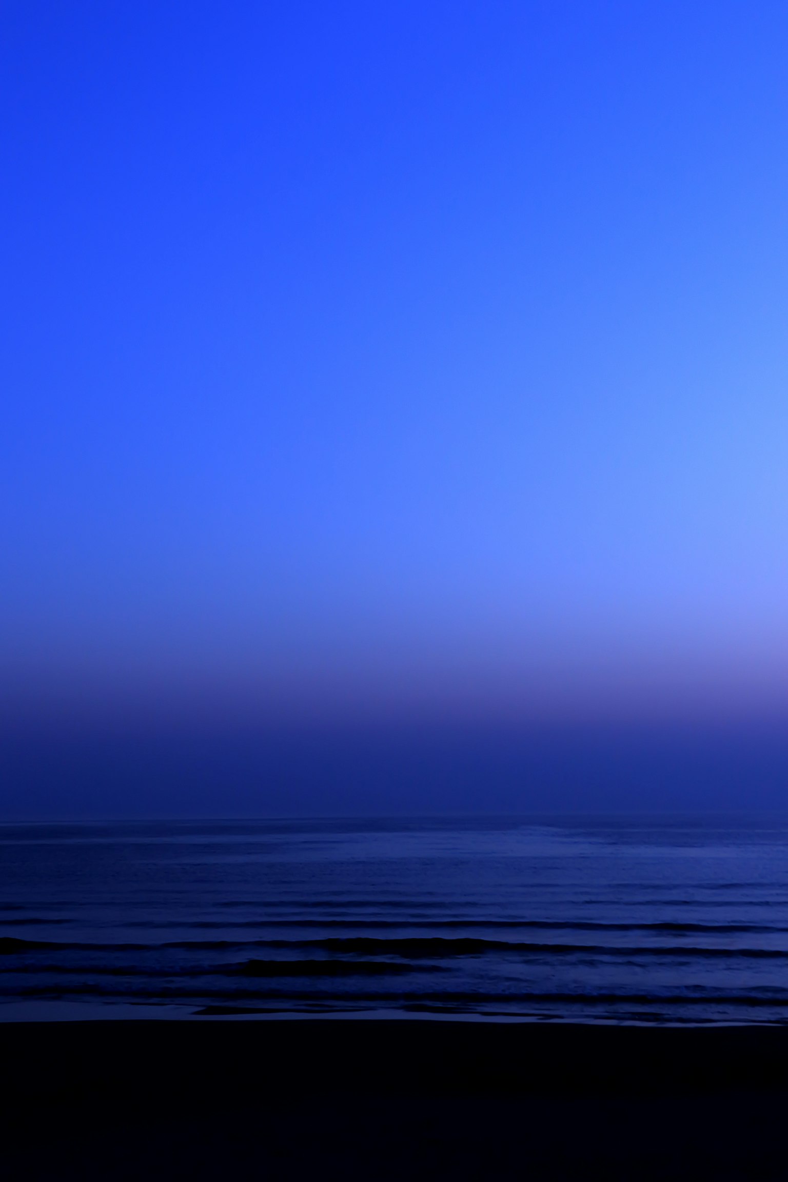 2024-05-silent-nature-image-19