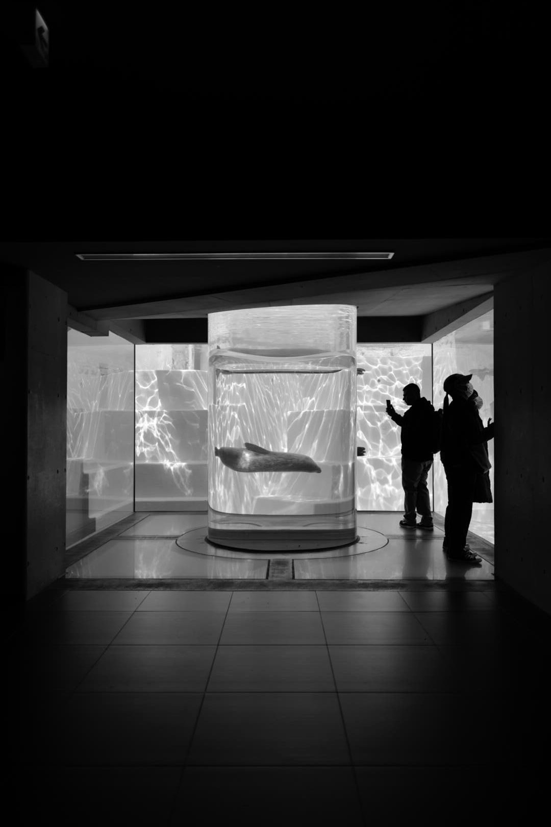 2026-09-freedom-in-limitation-leica-q2-image-12