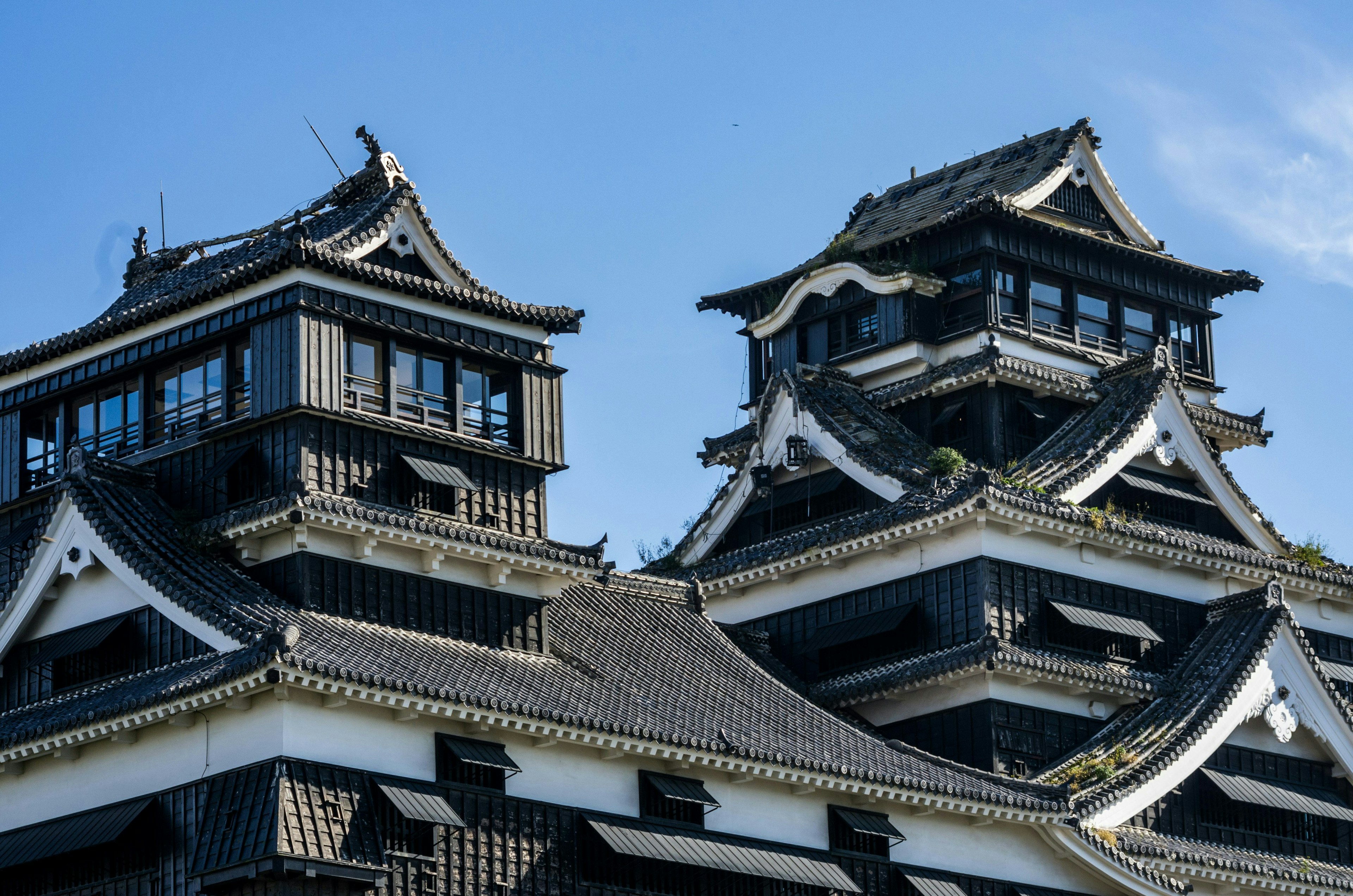2025-04-kumamoto-image-7