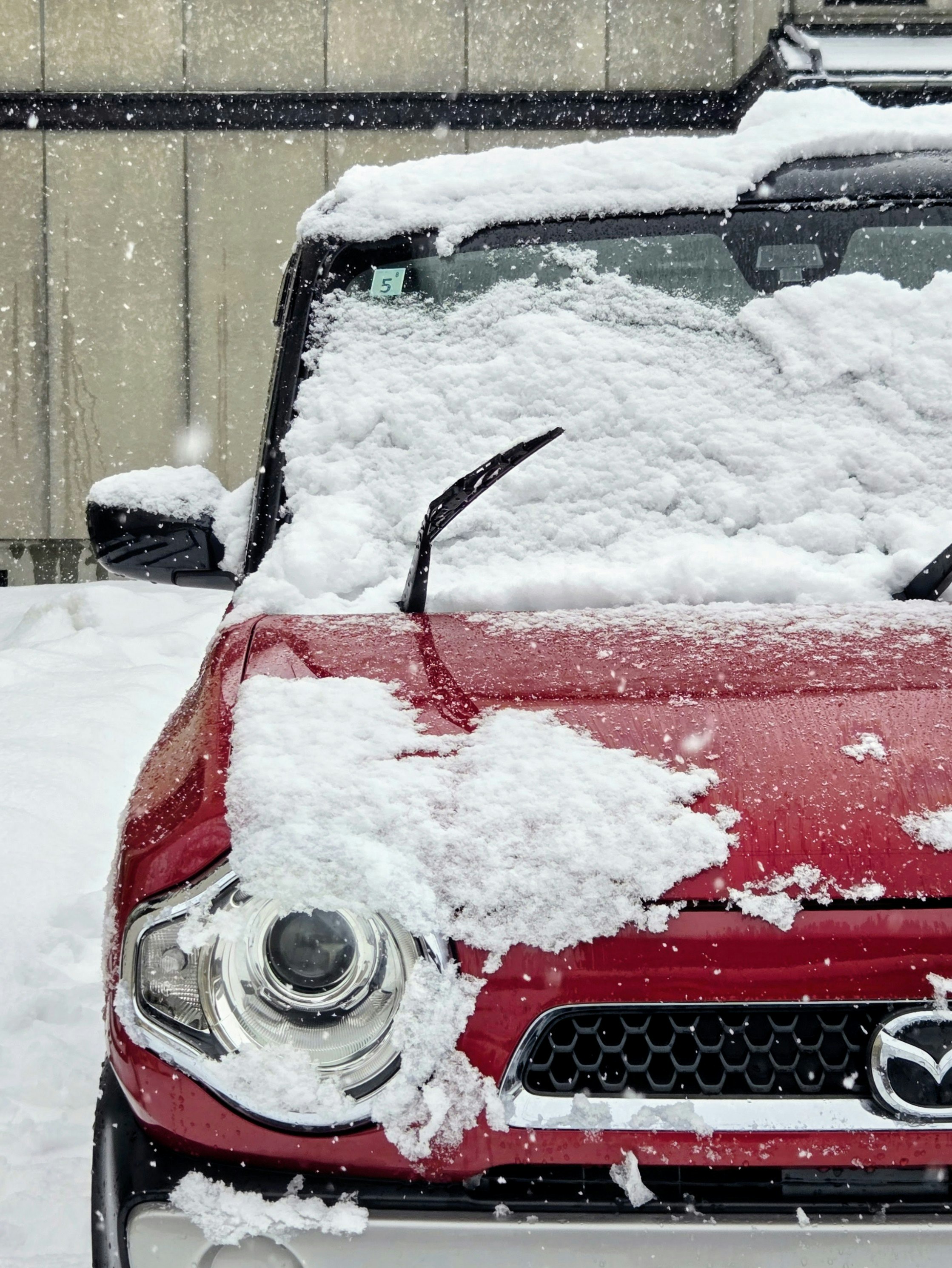 2026-03-snow-report-image-7
