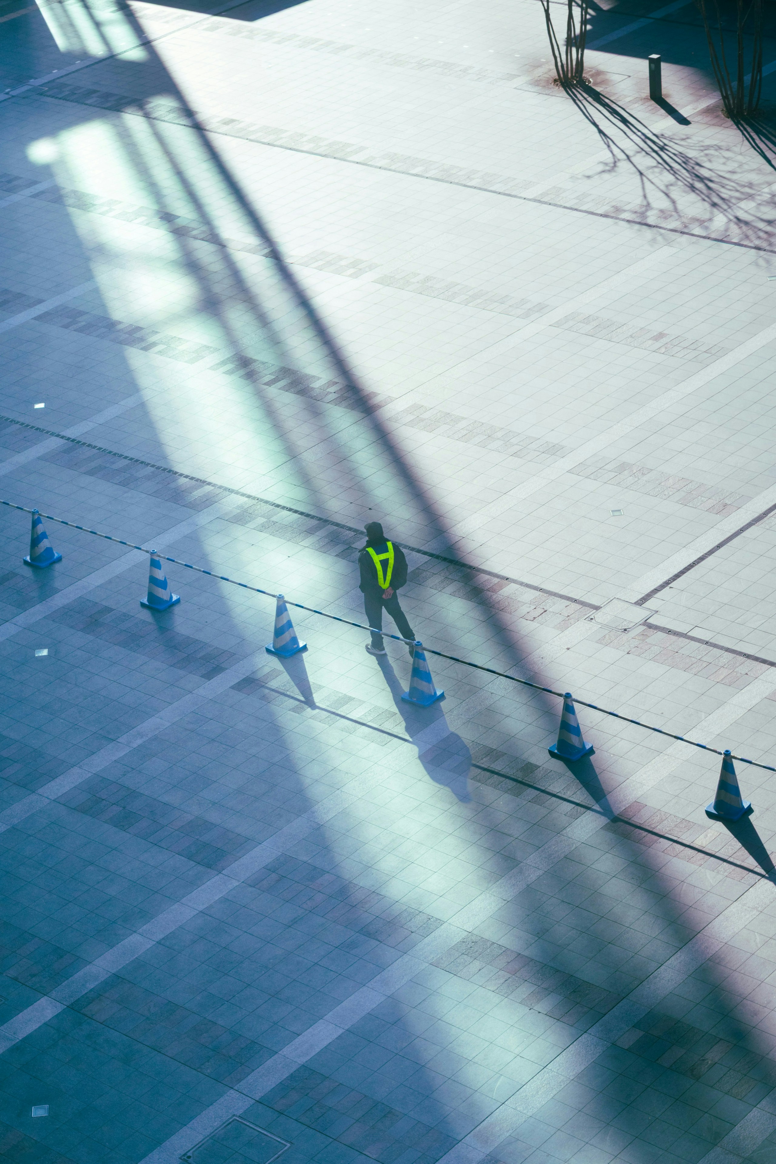 2026-01-shadow-report-image-7