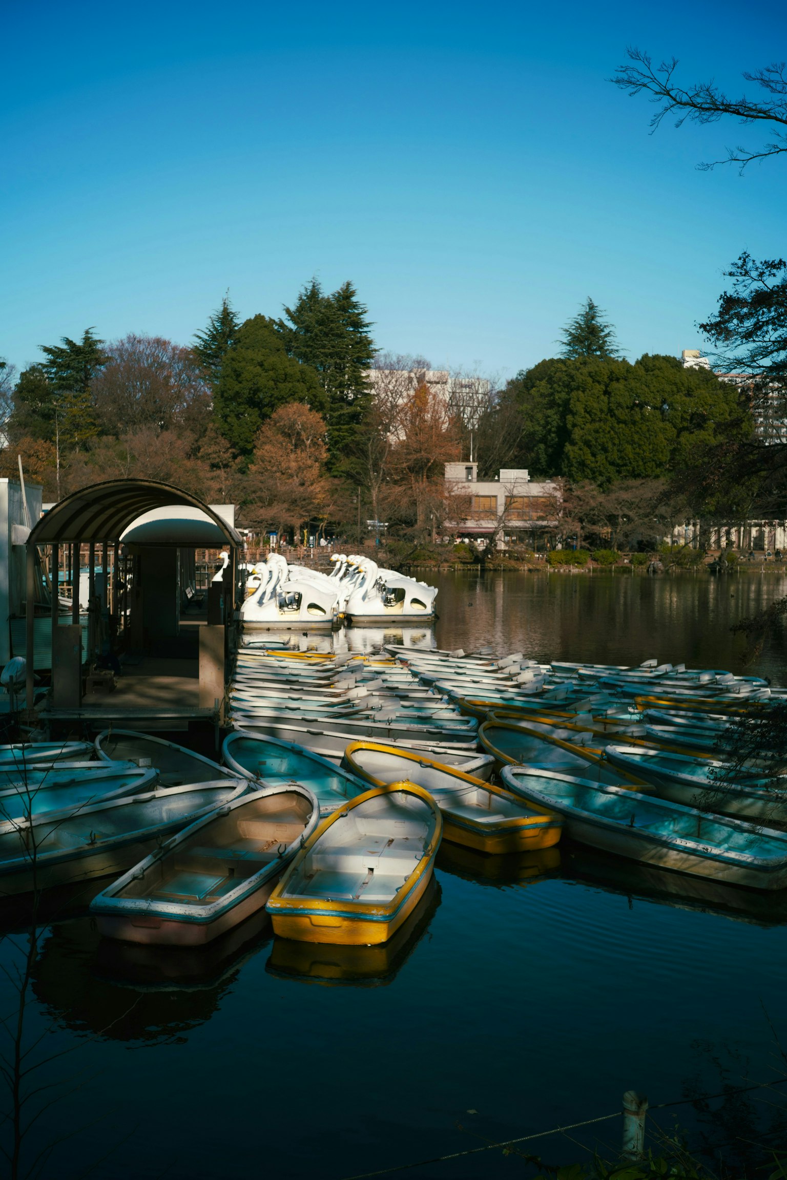 2025-09-everyday-hidden-gem-image-11