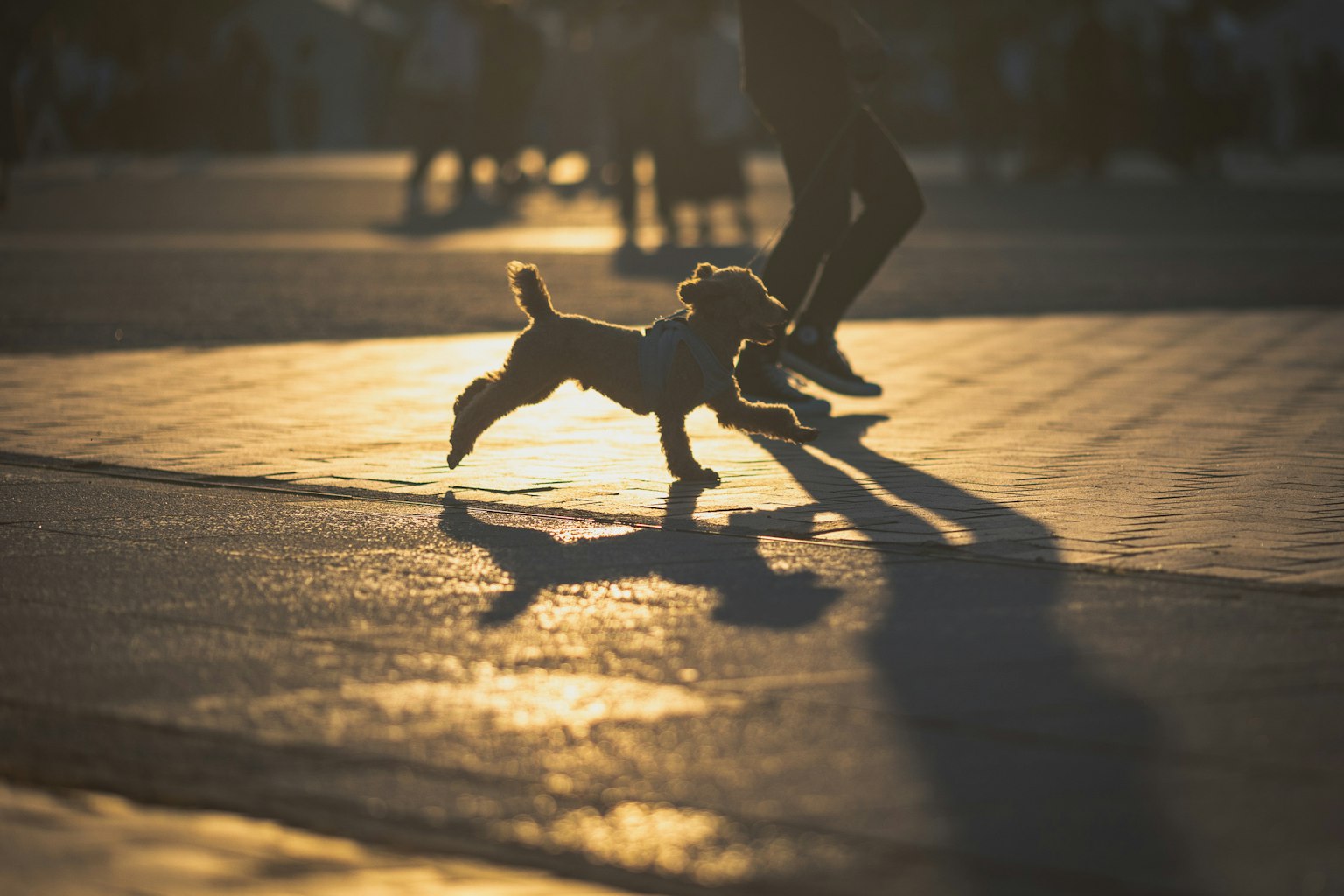 2024-05-inspiration-about-snap-photography-image-3