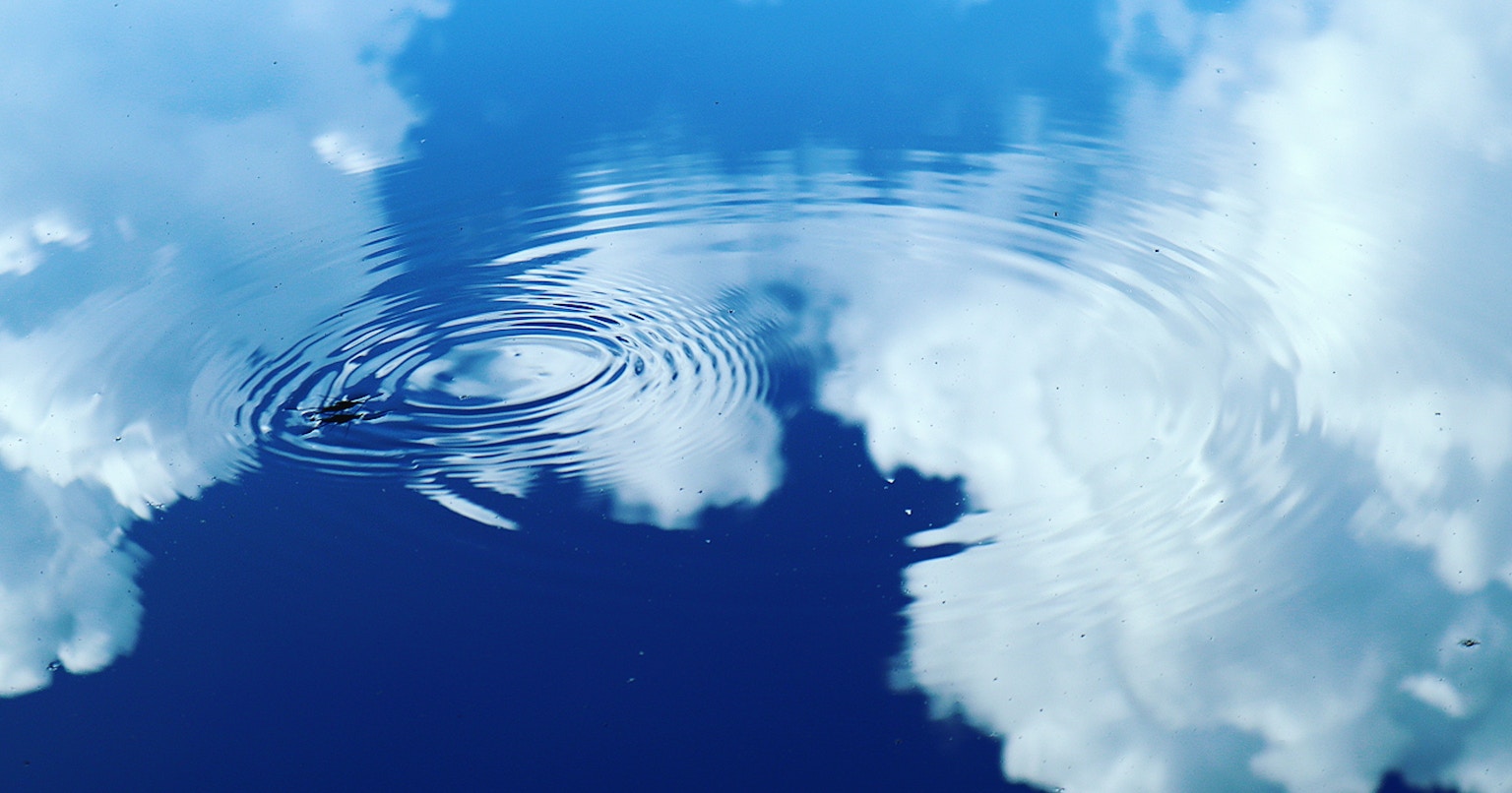 2024-07-july-diary-cover-image