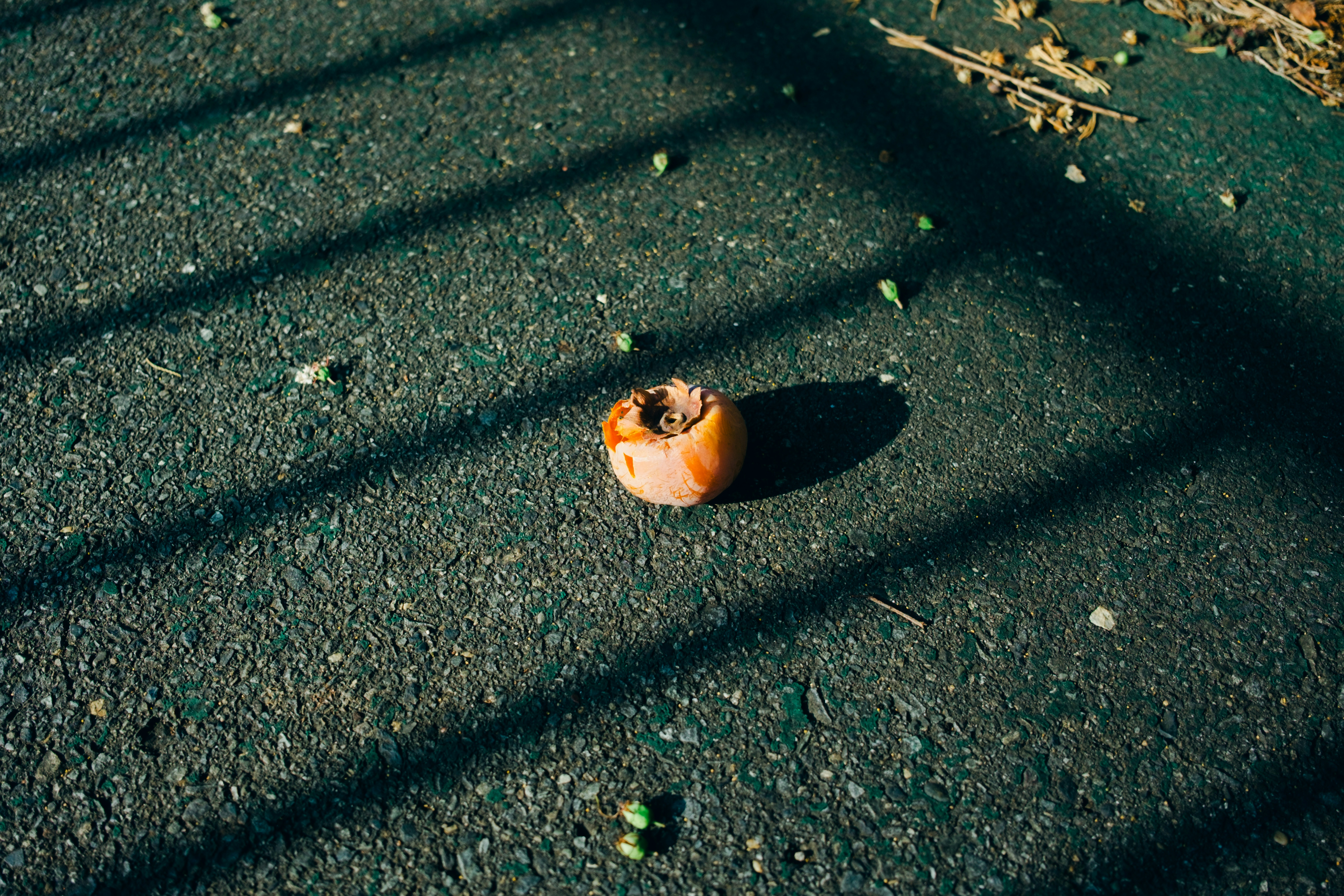 Photo by pointy