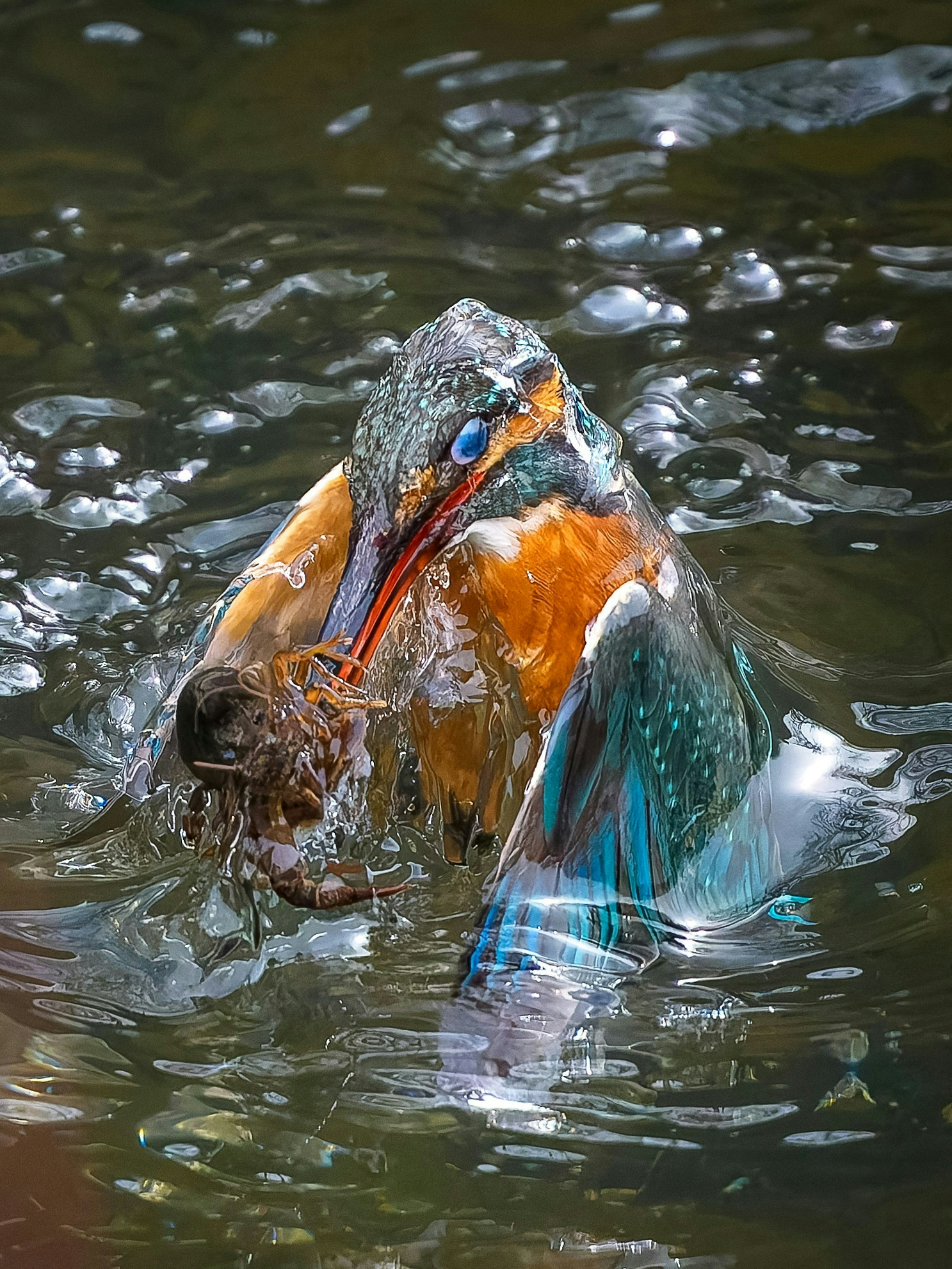 2025-04-masa-10-questions-image-26