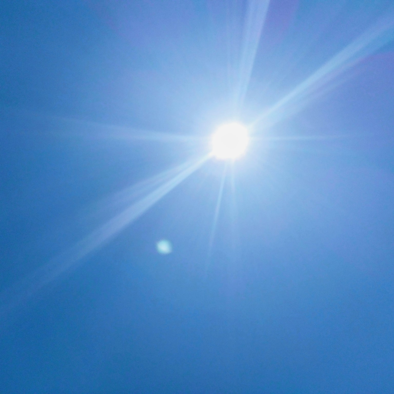 2024-06-light-cover-image
