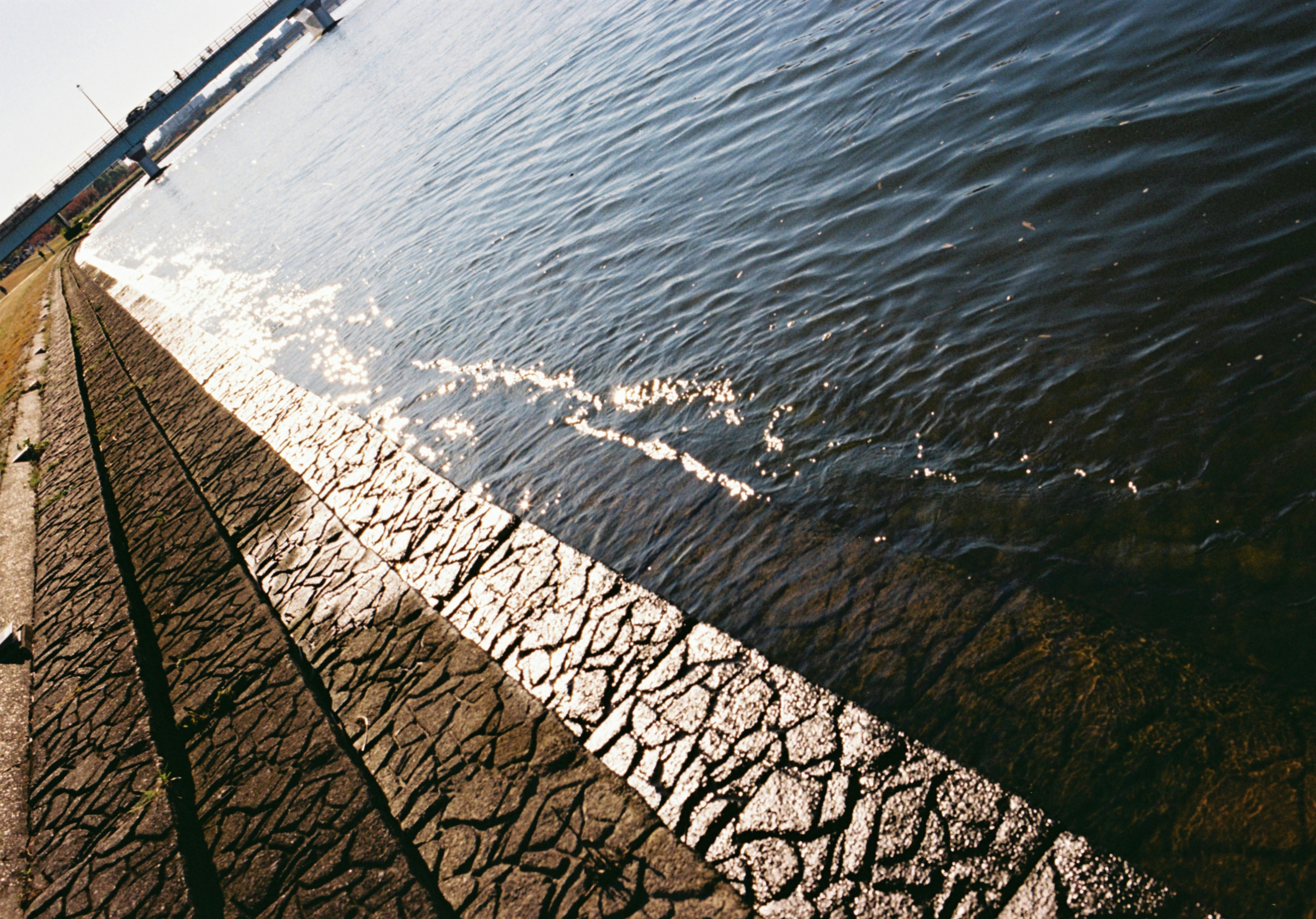 2026-08-understated-film-photography-by-mira-image-16