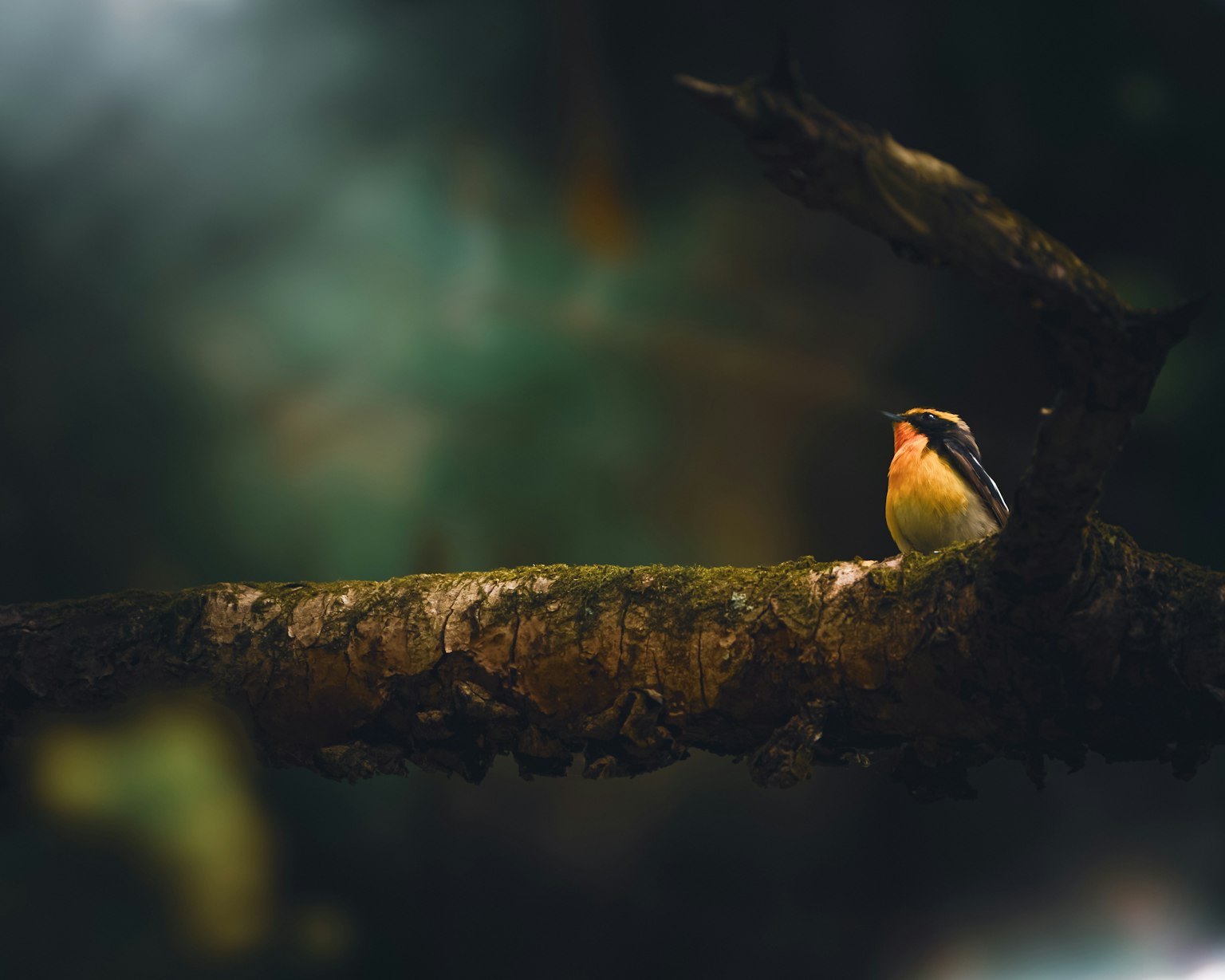 2024-06-negative-space-image-15