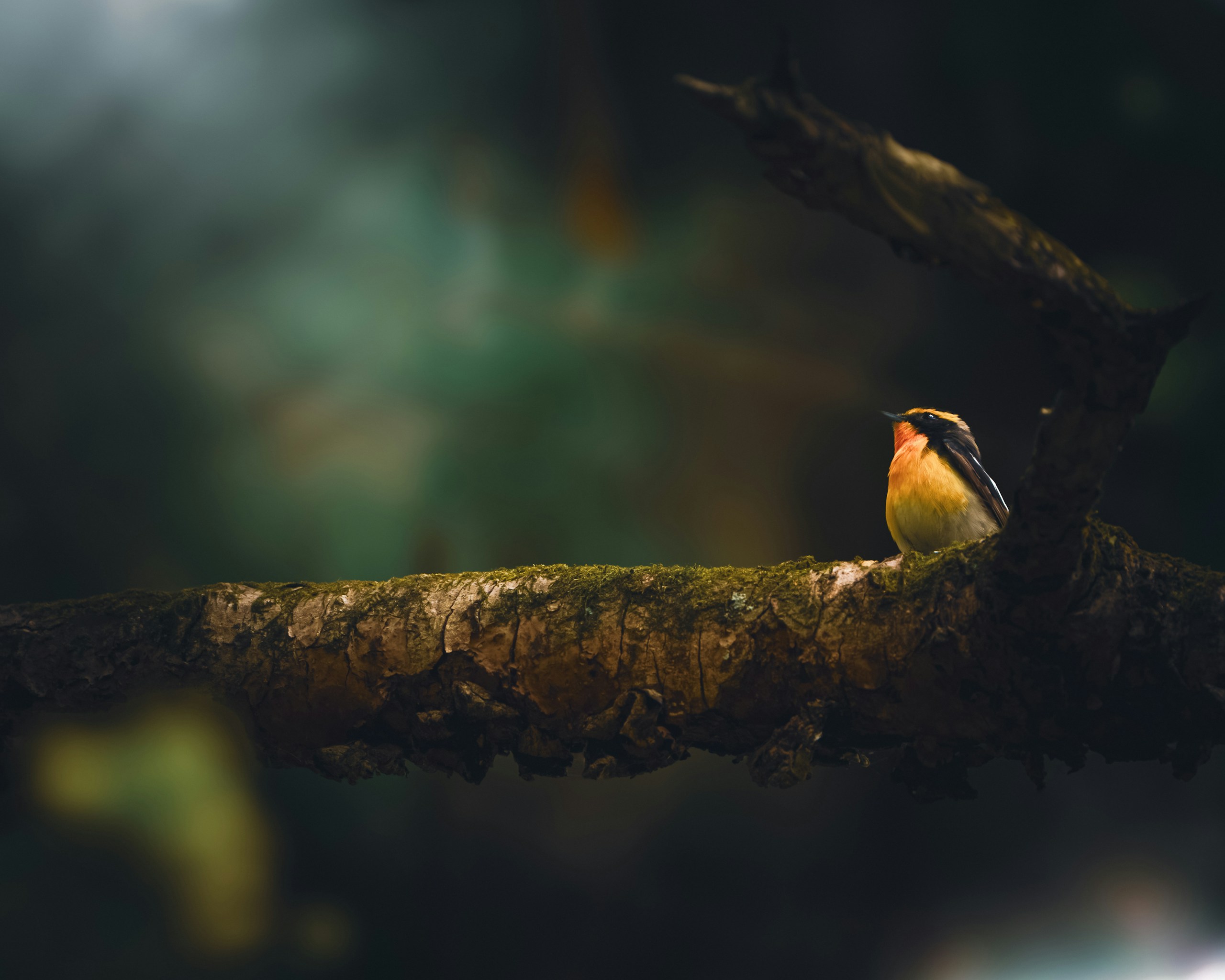 Image by aco.