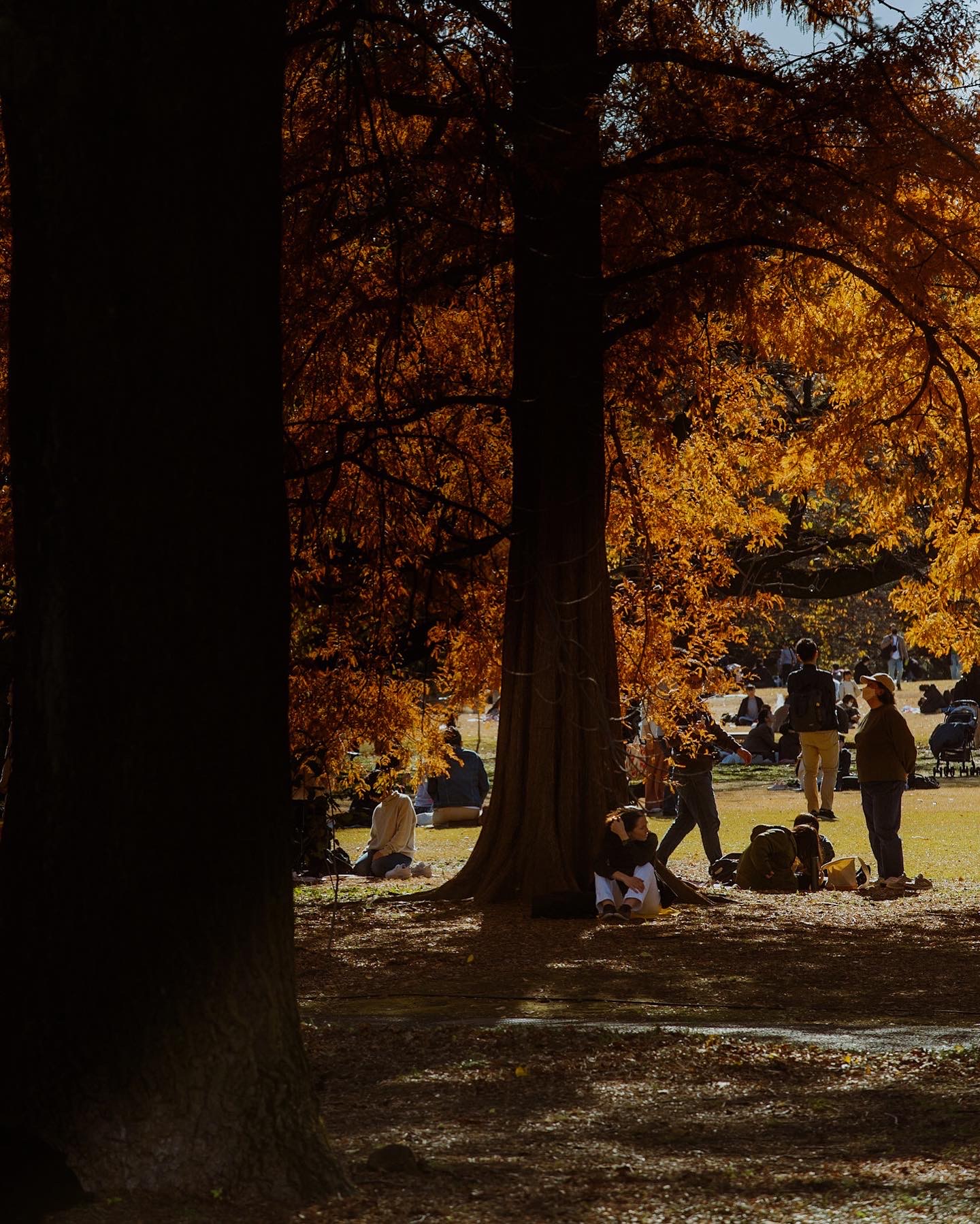 2023-03-elevate-cizucu-community-award-cover-image