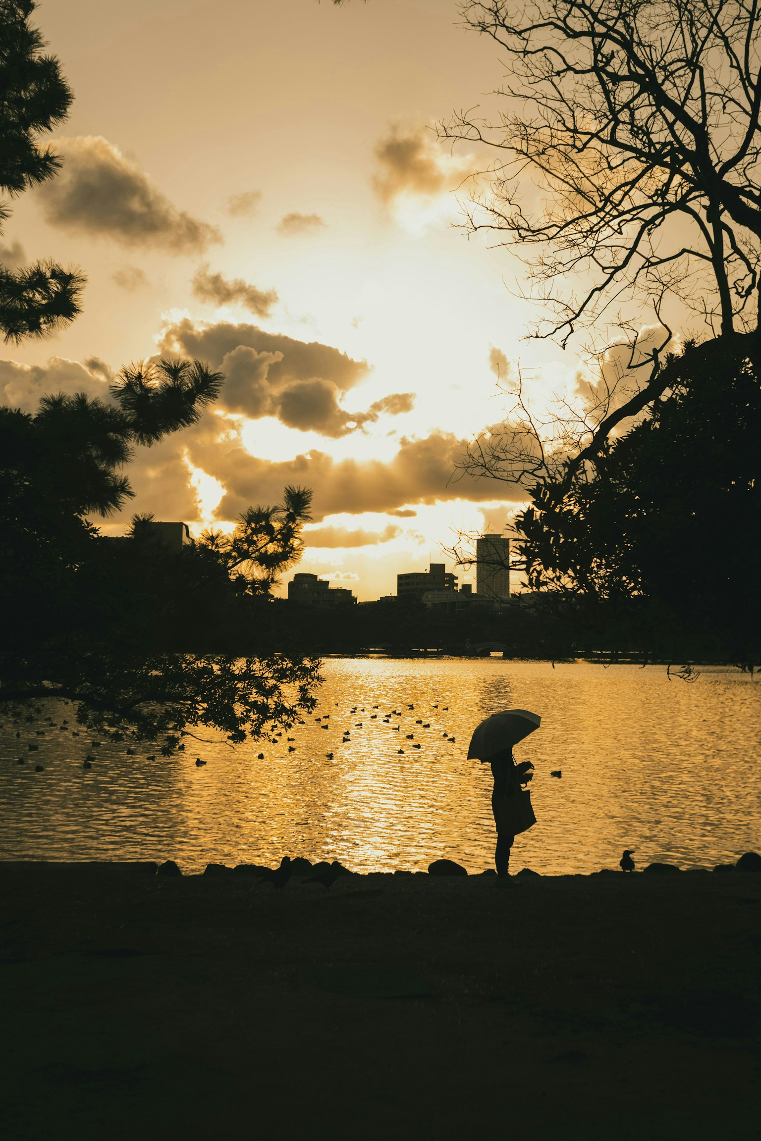 2025-03-fukuoka-image-3