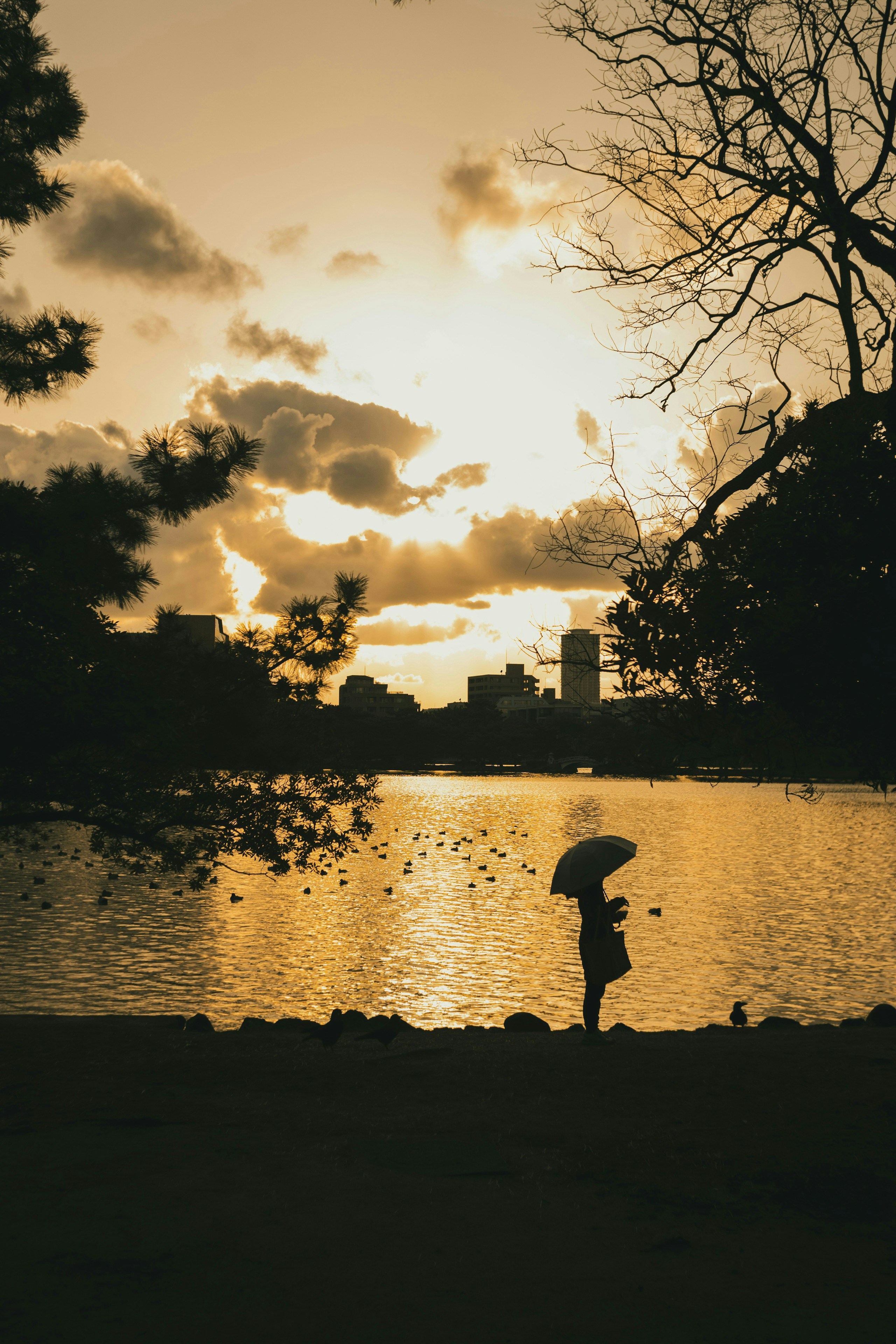 2025-03-fukuoka-image-3