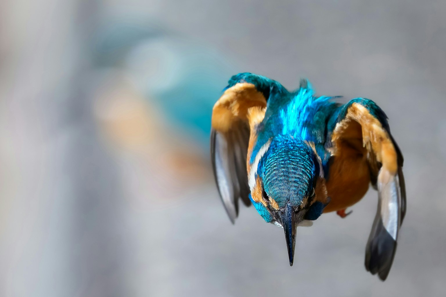 2025-04-pick-up-photos-no-84-88-image-5