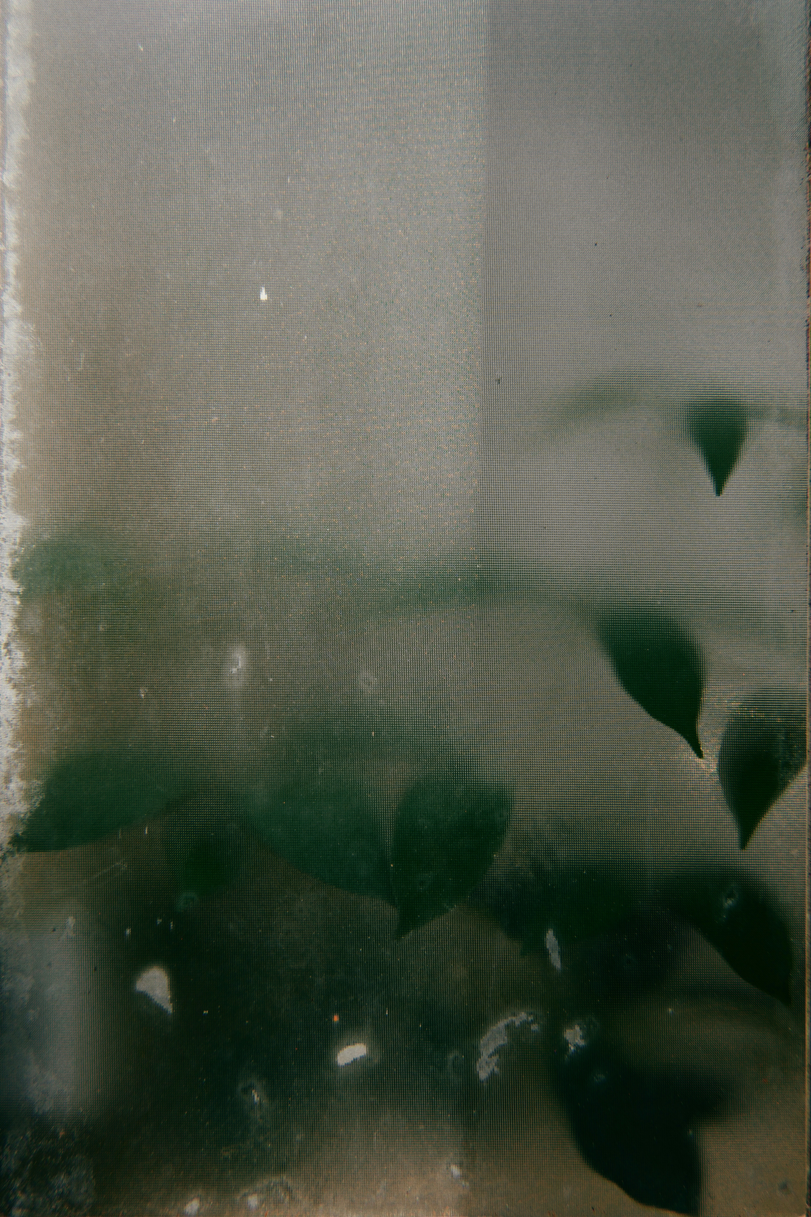 2026-07-green-hours-award-image-6