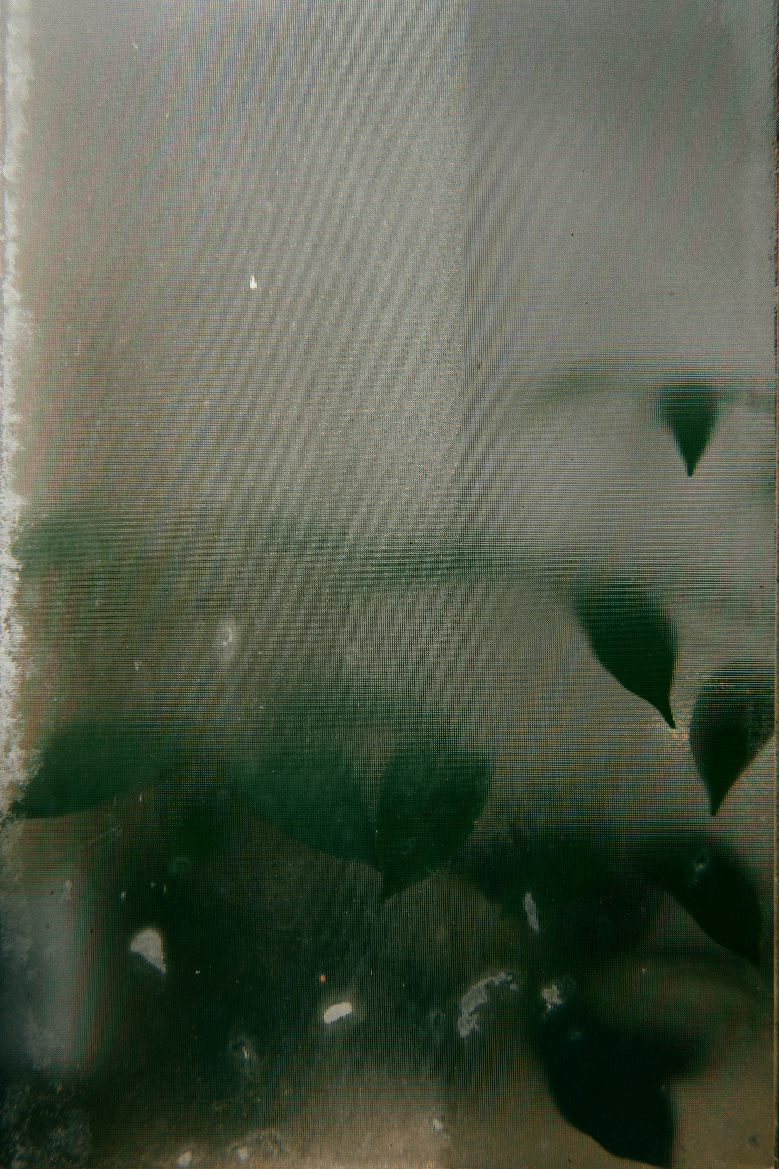2026-07-green-hours-award-image-6