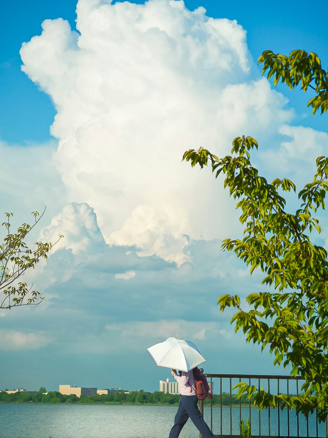 2024-06-summer-in-photography-image-8