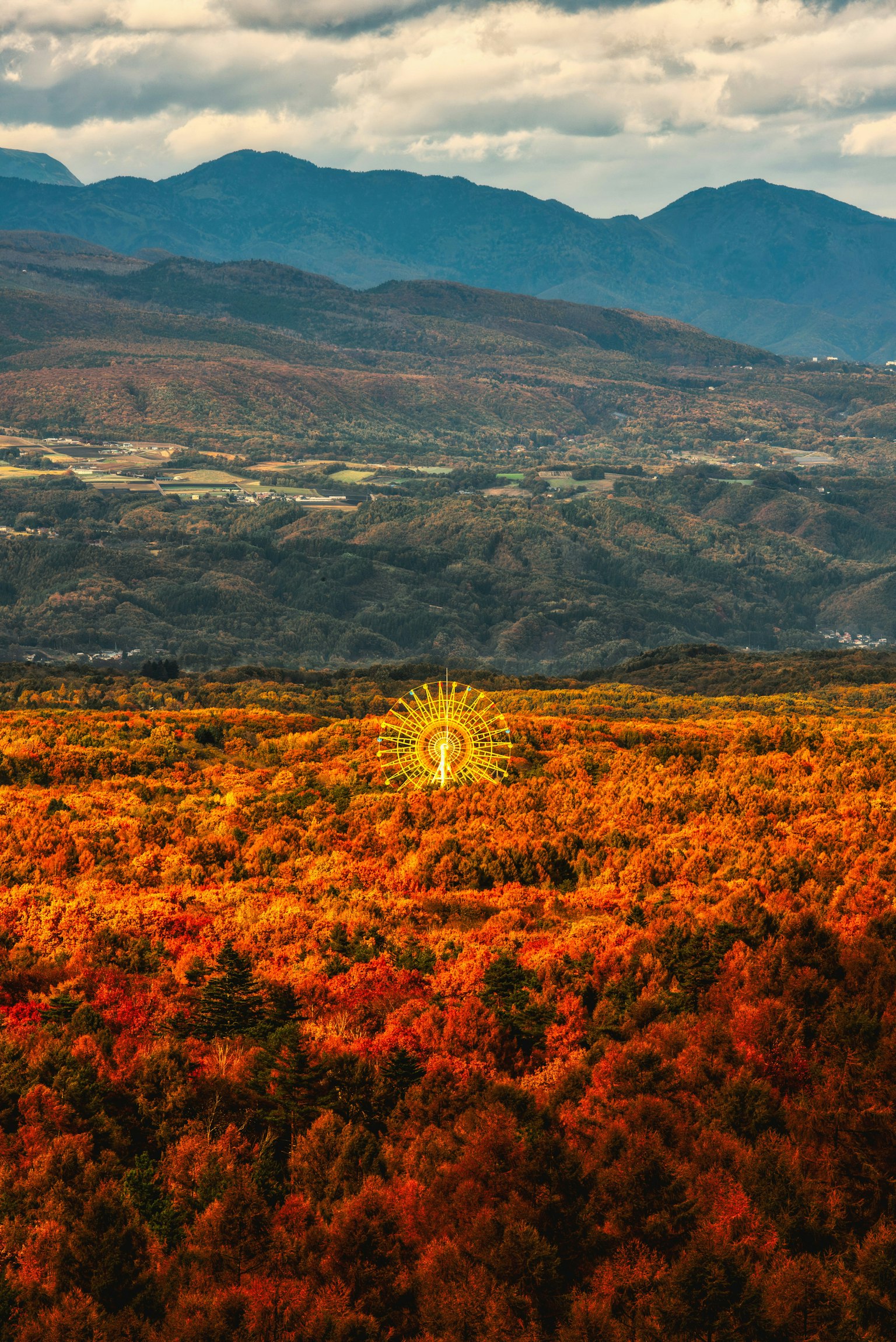 2025-11-pick-up-photos-no-239-243-image-5