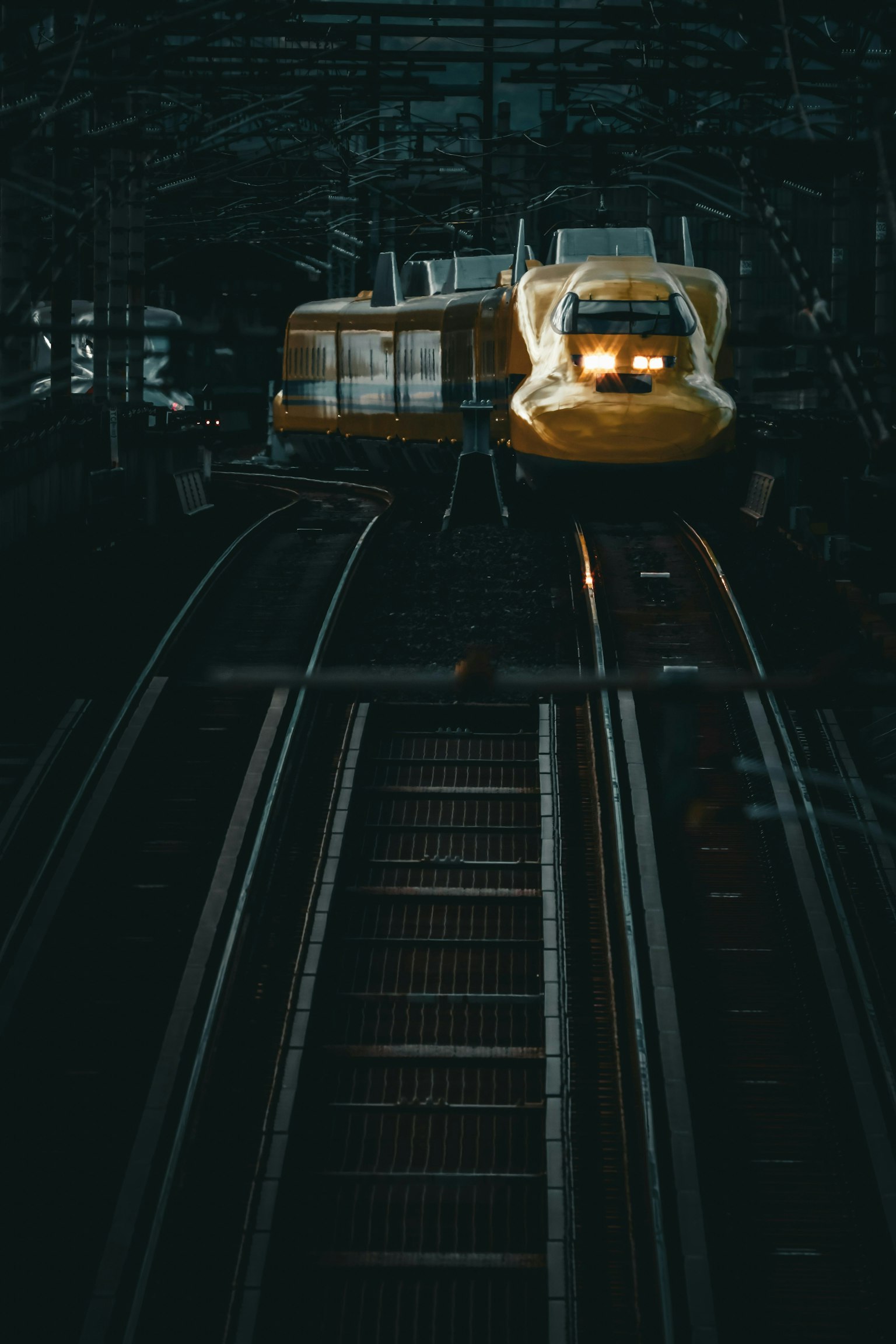 2025-03-tee-you-makes-colors-perfect-image-8